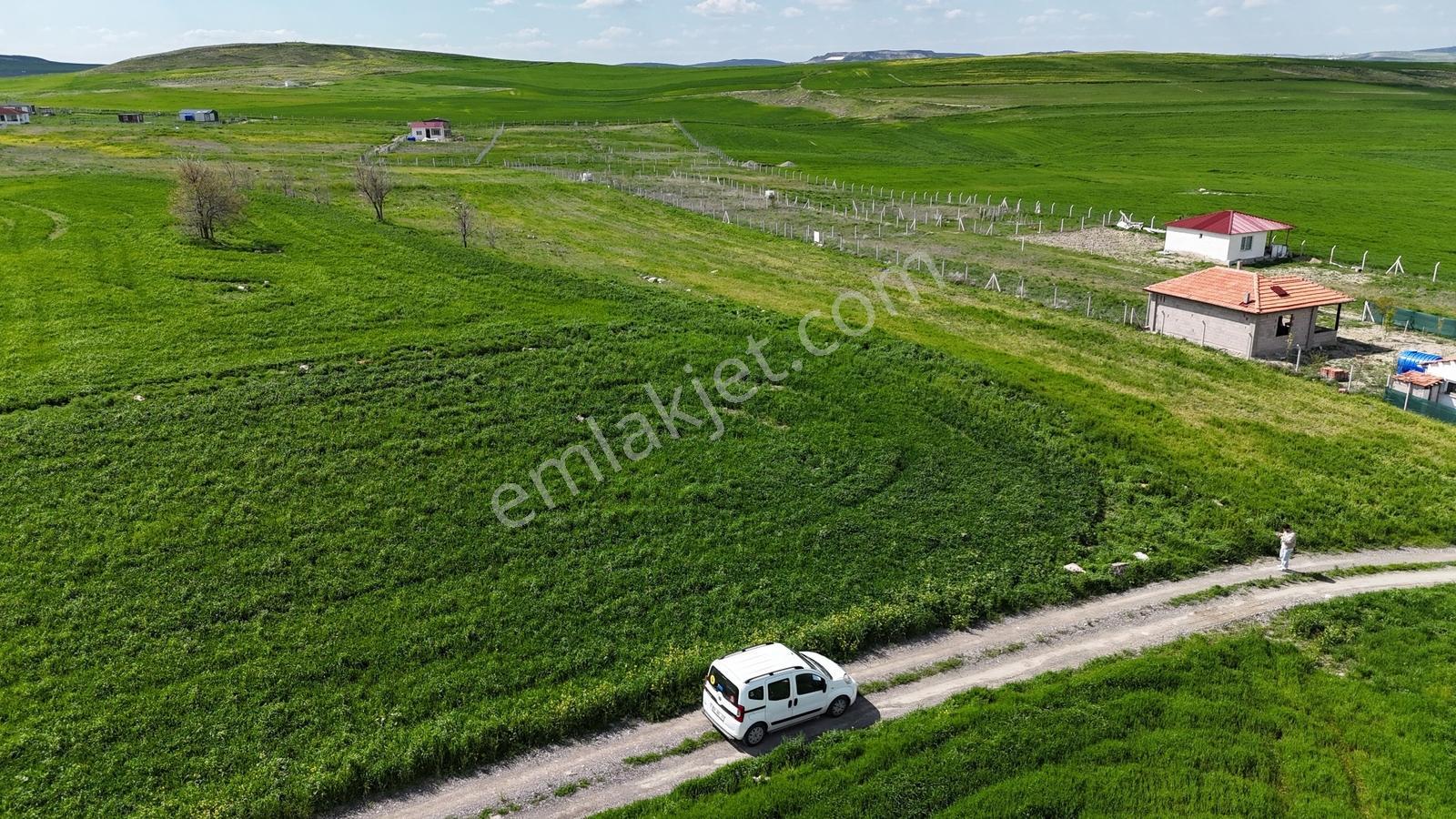 Gölbaşı Soğulcak Da 5653m2 Tek Tapu Tarla Karadeniz Emlaktan
