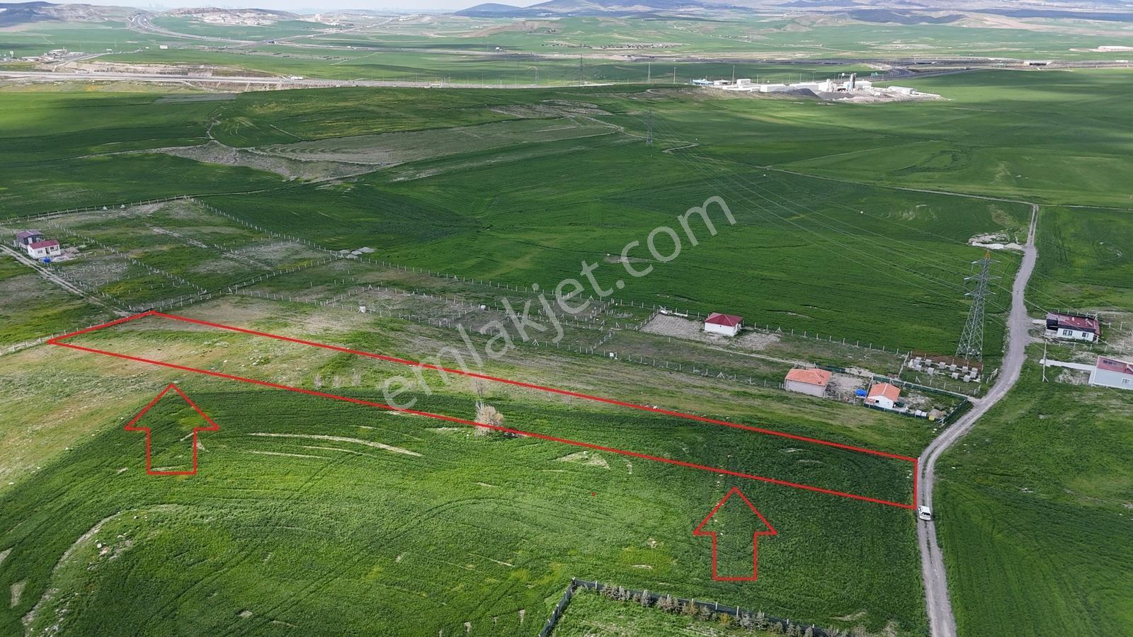 Gölbaşı Soğulcak Da 5653m2 Tek Tapu Tarla Karadeniz Emlaktan - Görsel 12