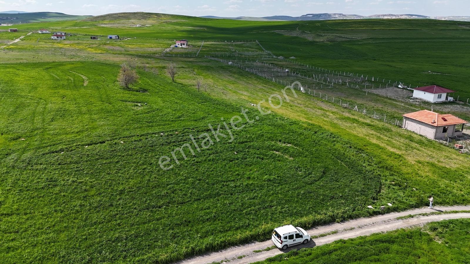 Gölbaşı Soğulcak Da 5653m2 Tek Tapu Tarla Karadeniz Emlaktan - Görsel 28
