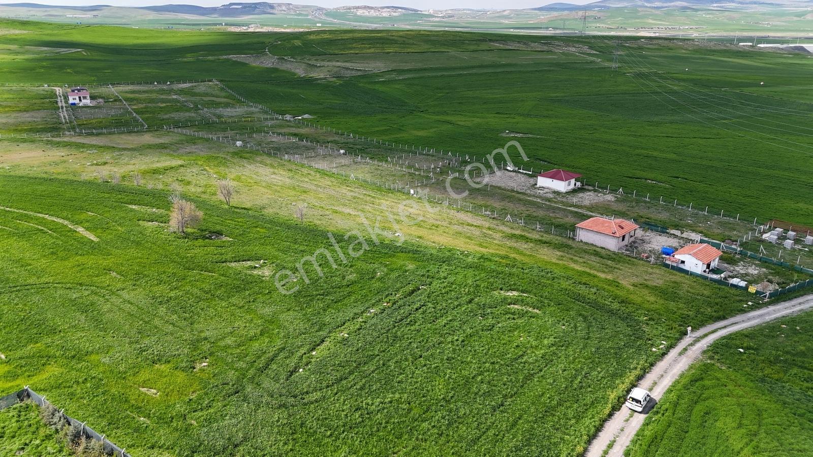 Gölbaşı Soğulcak Da 5653m2 Tek Tapu Tarla Karadeniz Emlaktan - Görsel 11