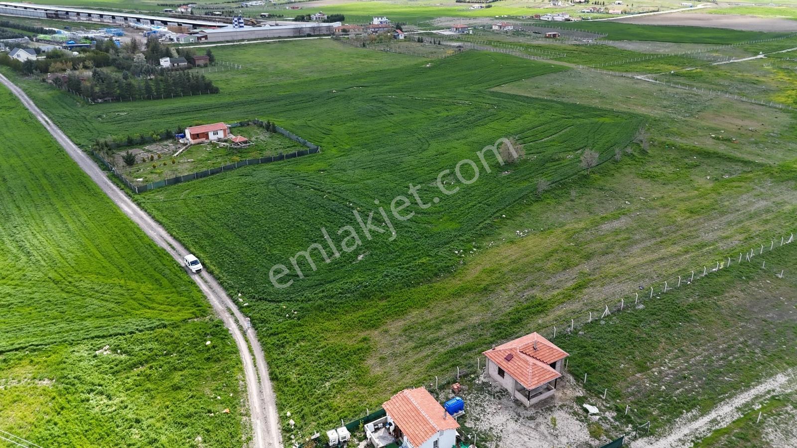 Gölbaşı Soğulcak Da 5653m2 Tek Tapu Tarla Karadeniz Emlaktan - Görsel 14