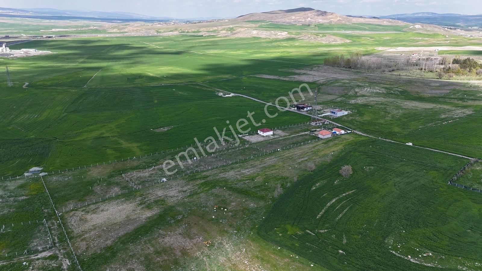Gölbaşı Soğulcak Da 5653m2 Tek Tapu Tarla Karadeniz Emlaktan - Görsel 24