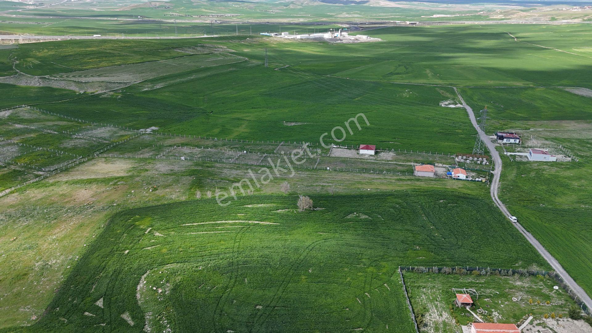 Gölbaşı Soğulcak Da 5653m2 Tek Tapu Tarla Karadeniz Emlaktan - Görsel 22