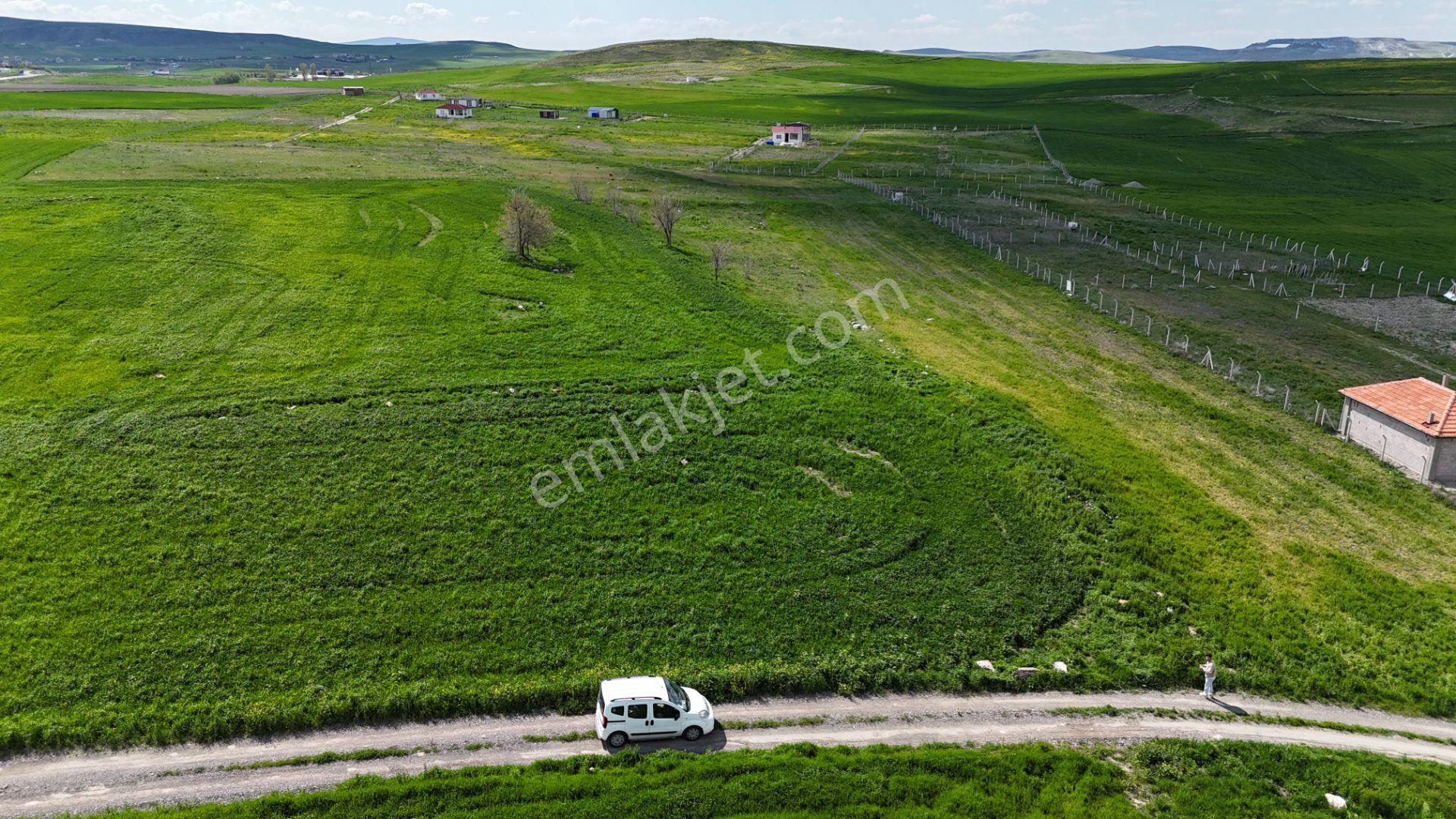 Gölbaşı Soğulcak Da 5653m2 Tek Tapu Tarla Karadeniz Emlaktan - Görsel 28