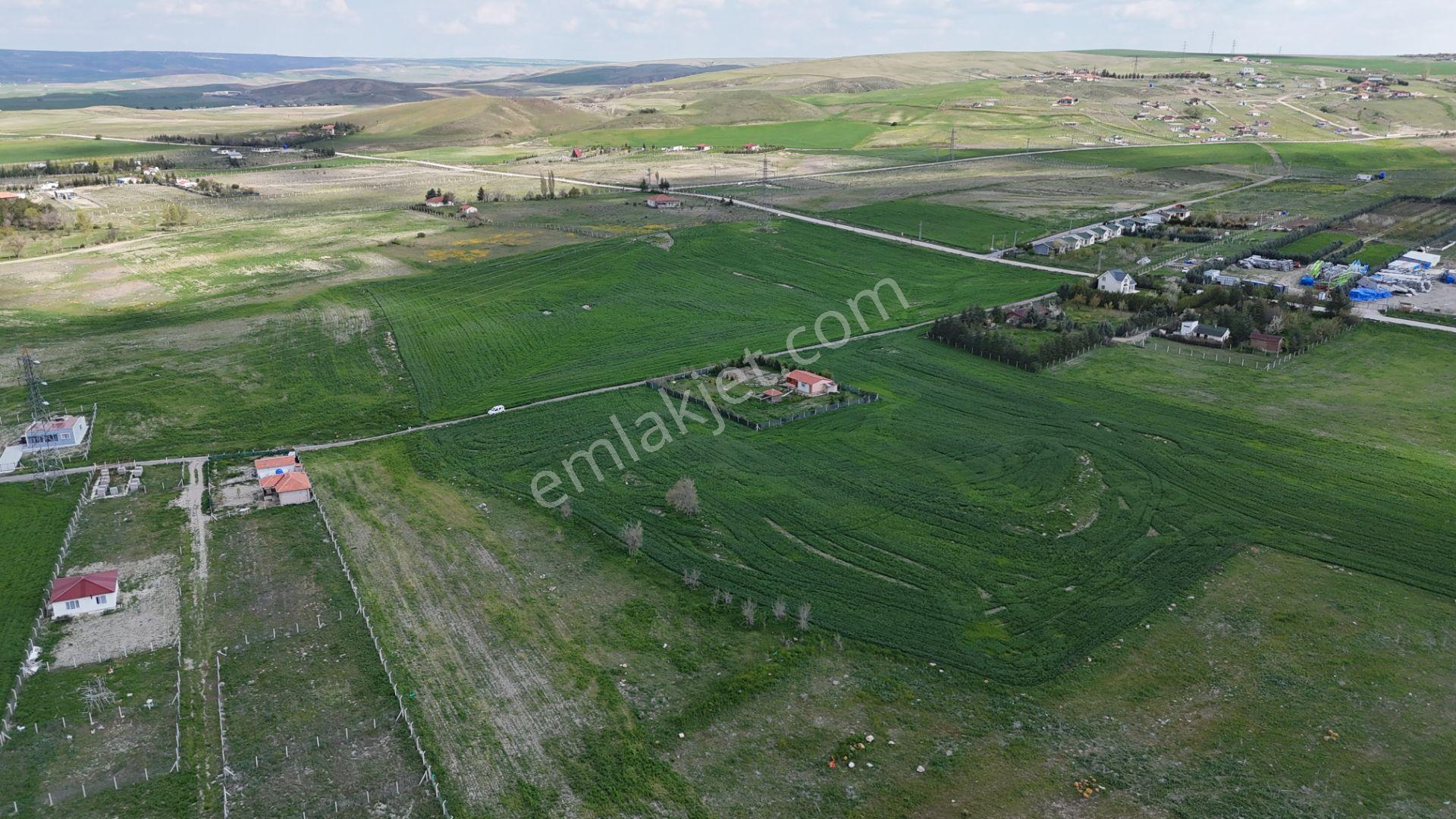 Gölbaşı Soğulcak Da 5653m2 Tek Tapu Tarla Karadeniz Emlaktan - Görsel 17
