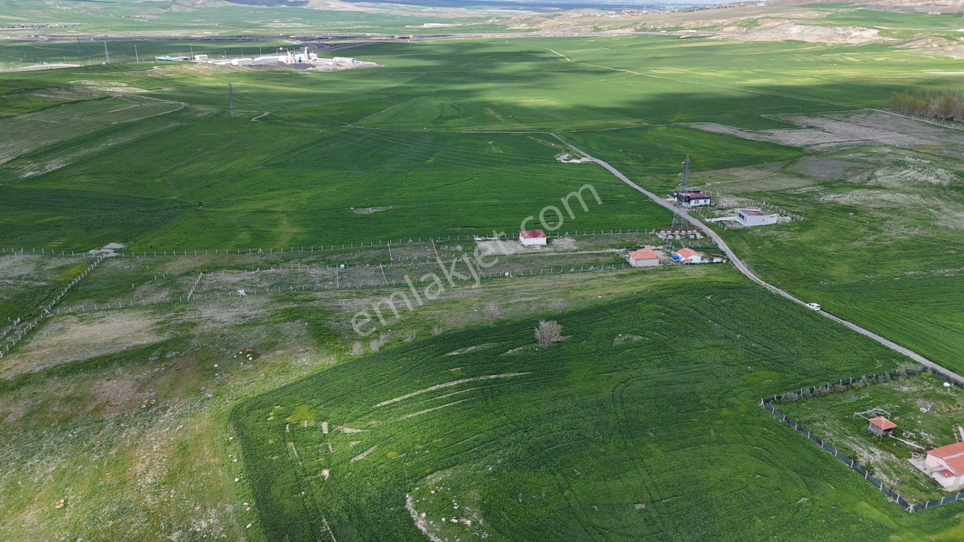 Gölbaşı Soğulcak Da 5653m2 Tek Tapu Tarla Karadeniz Emlaktan - Görsel 21