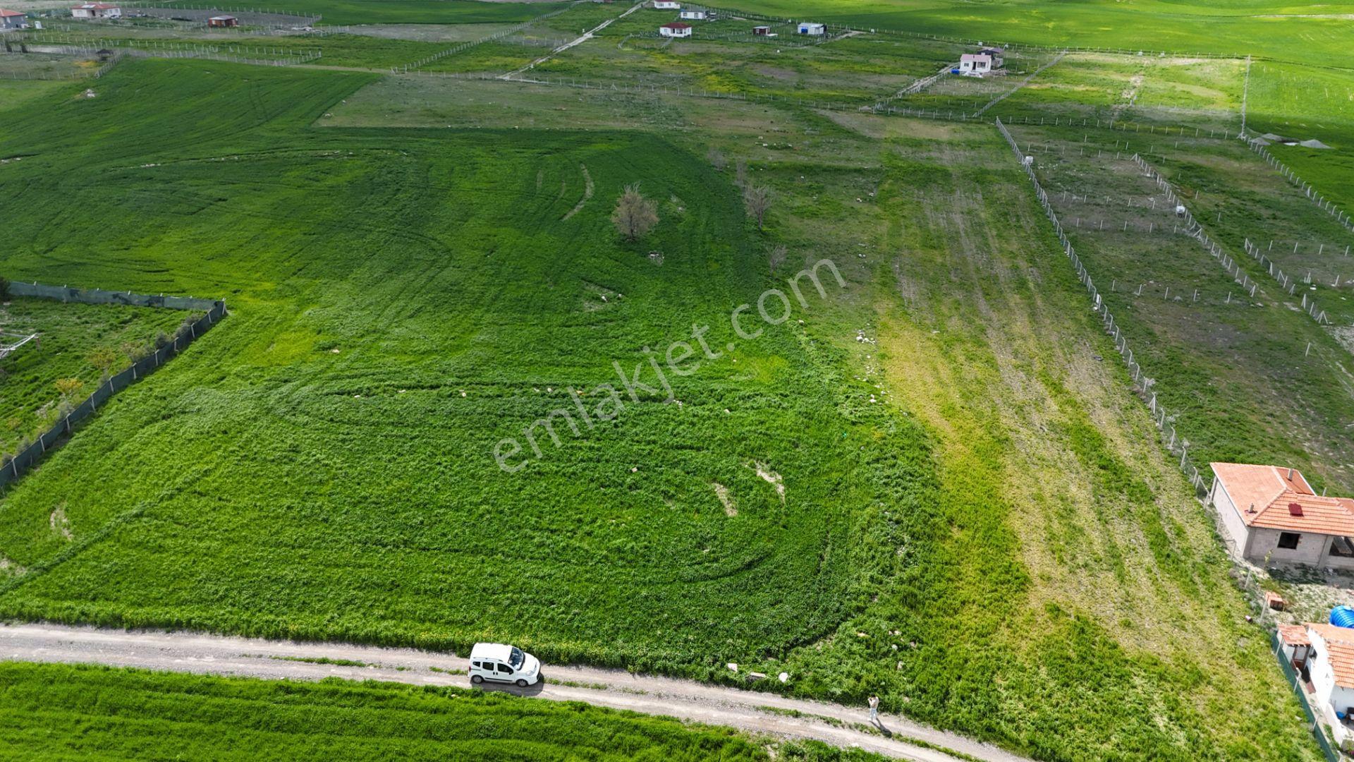 Gölbaşı Soğulcak Da 5653m2 Tek Tapu Tarla Karadeniz Emlaktan - Görsel 10