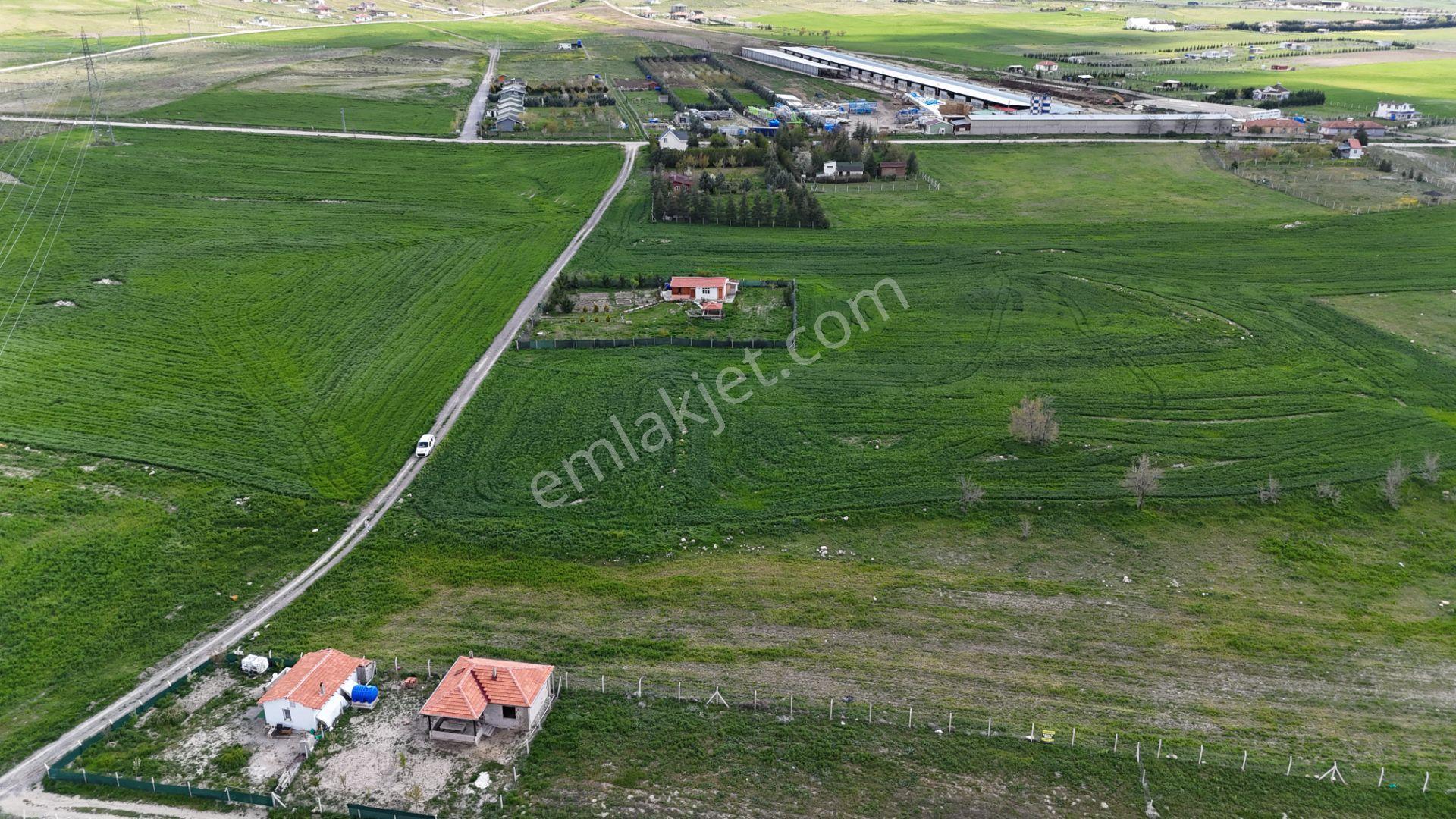 Gölbaşı Soğulcak Da 5653m2 Tek Tapu Tarla Karadeniz Emlaktan - Görsel 14