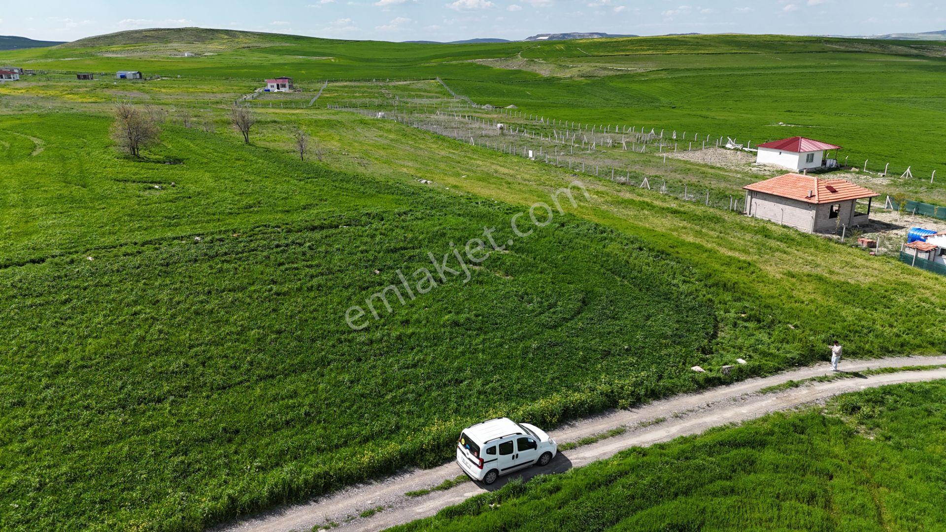 Gölbaşı Soğulcak Da 5653m2 Tek Tapu Tarla Karadeniz Emlaktan - Görsel 31
