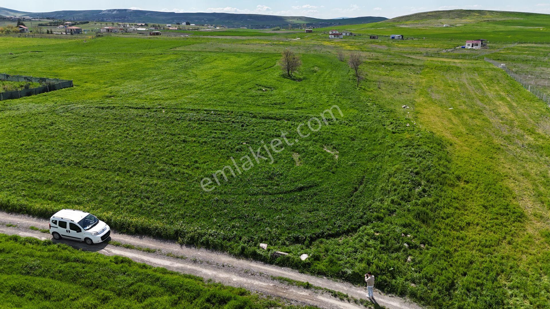 Gölbaşı Soğulcak Da 5653m2 Tek Tapu Tarla Karadeniz Emlaktan - Görsel 29