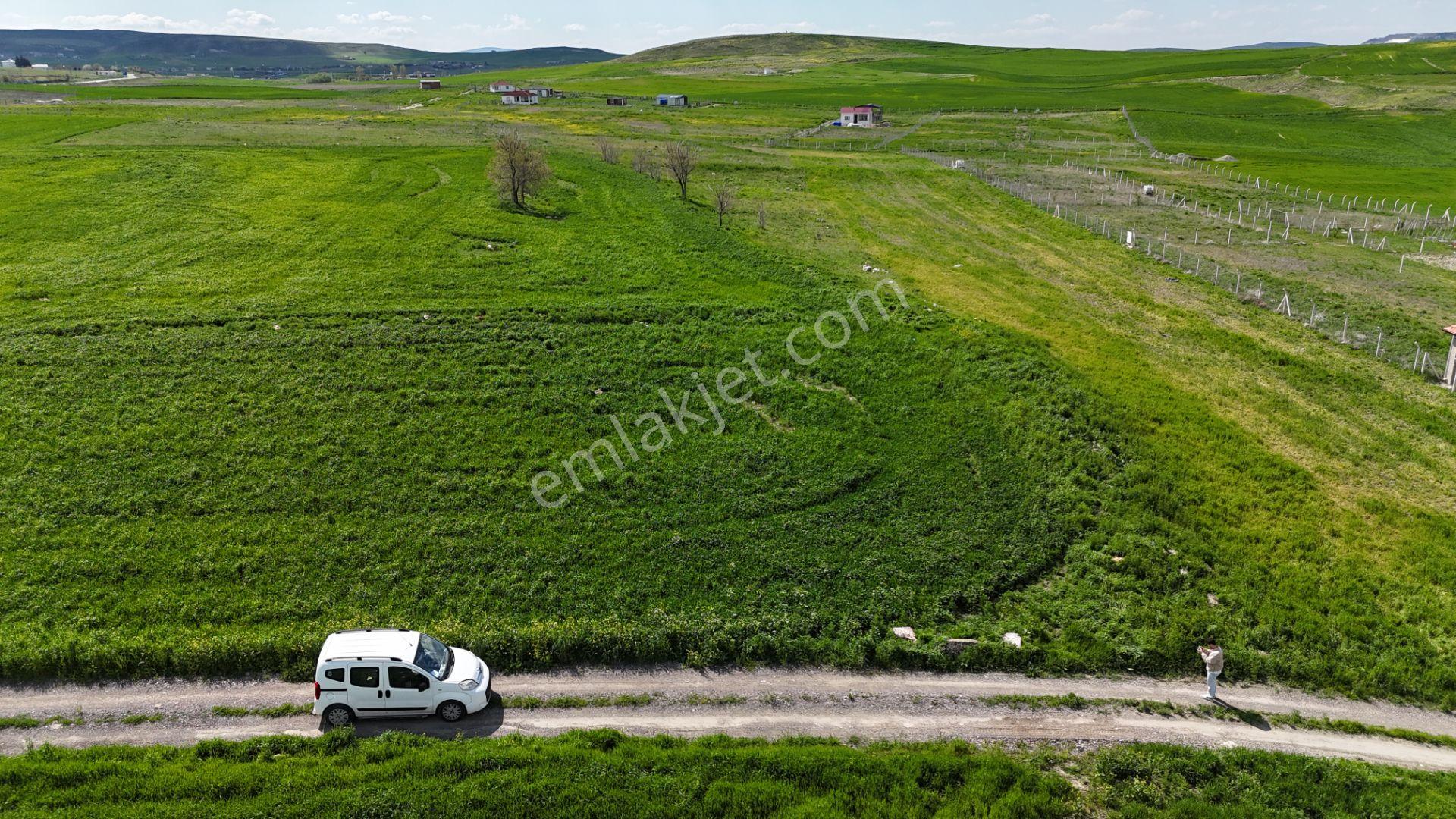 Gölbaşı Soğulcak Da 5653m2 Tek Tapu Tarla Karadeniz Emlaktan - Görsel 30