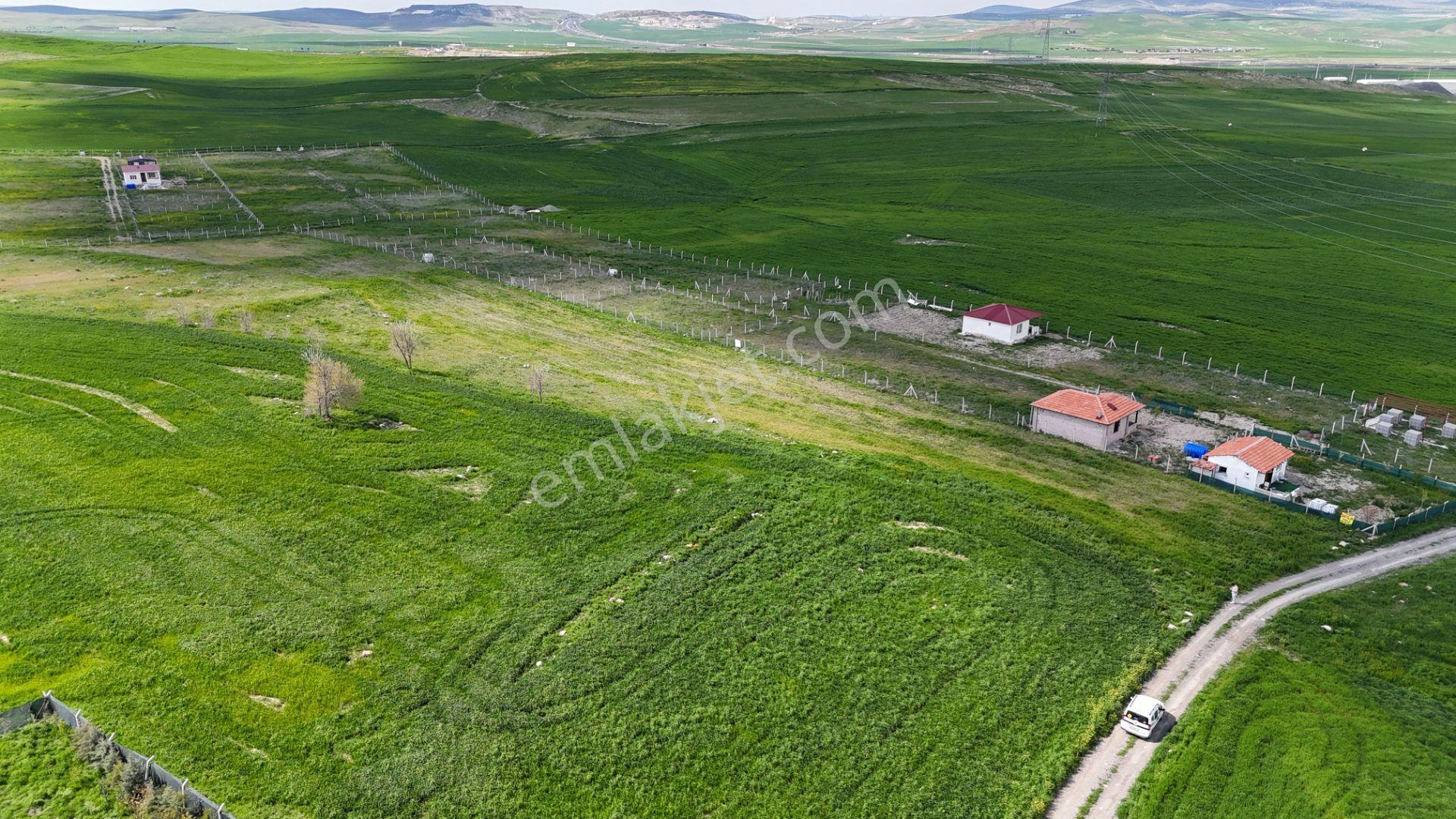 Gölbaşı Soğulcak Da 5653m2 Tek Tapu Tarla Karadeniz Emlaktan - Görsel 24