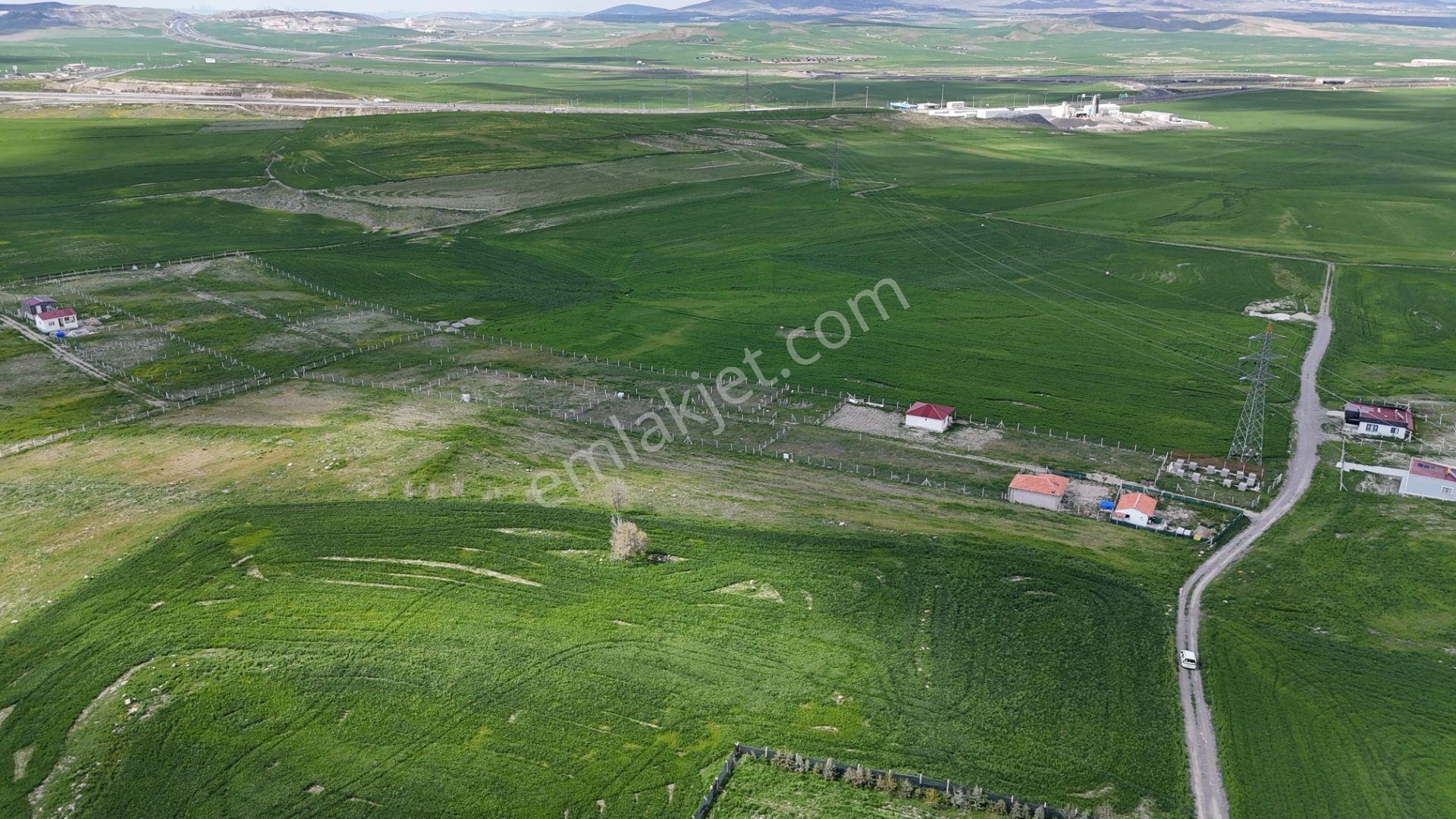Gölbaşı Soğulcak Da 5653m2 Tek Tapu Tarla Karadeniz Emlaktan - Görsel 23