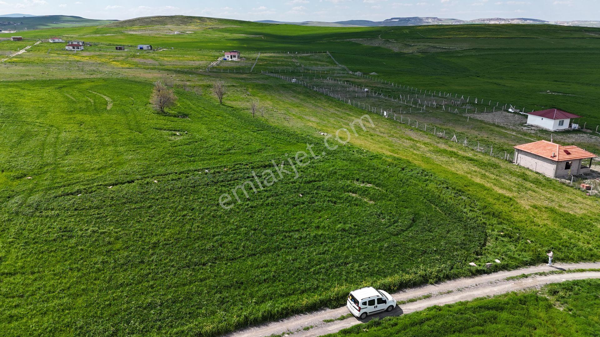 Gölbaşı Soğulcak Da 5653m2 Tek Tapu Tarla Karadeniz Emlaktan - Görsel 27