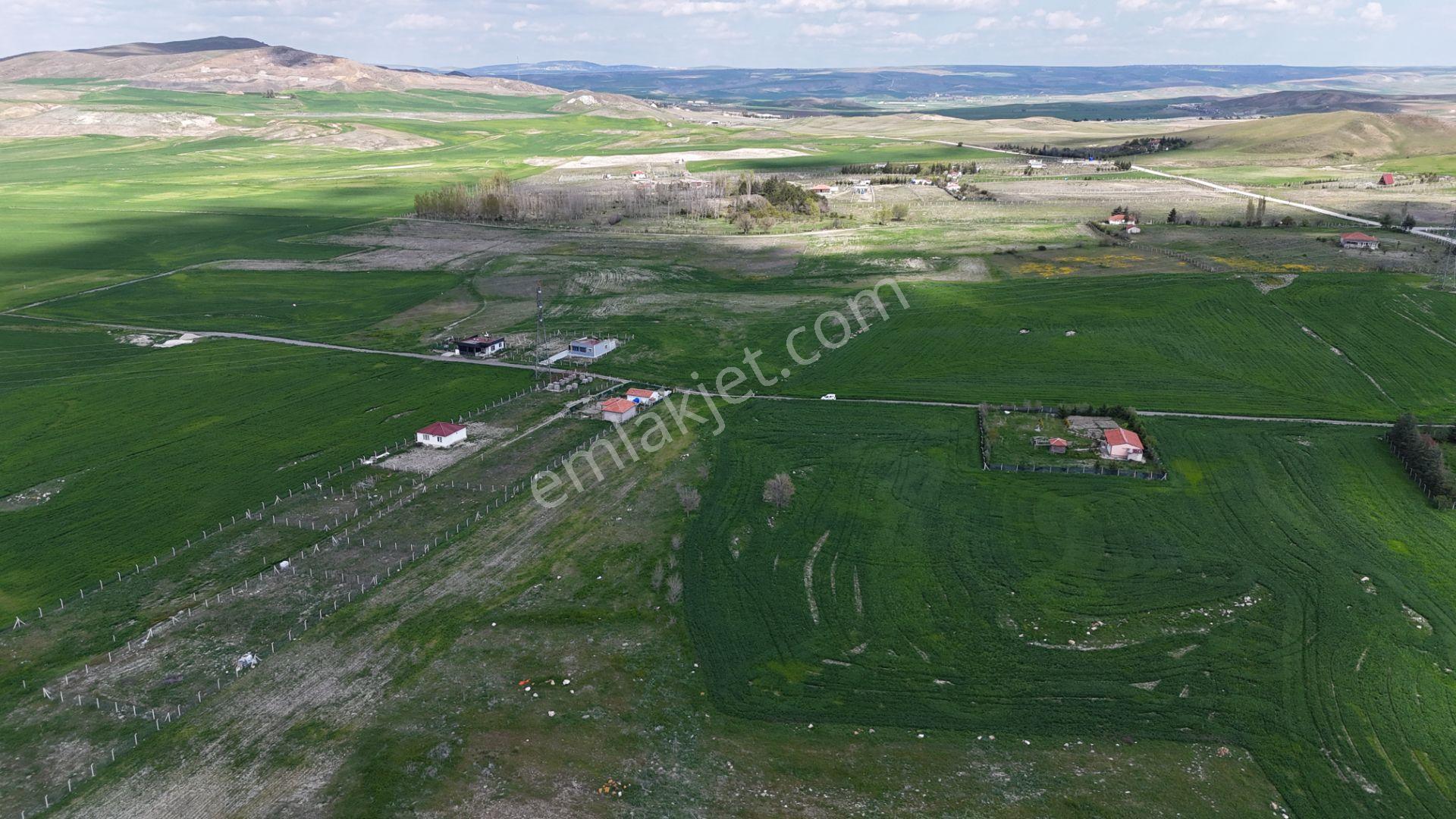 Gölbaşı Soğulcak Da 5653m2 Tek Tapu Tarla Karadeniz Emlaktan - Görsel 19