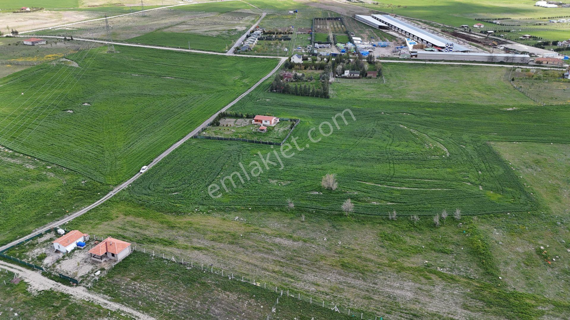 Gölbaşı Soğulcak Da 5653m2 Tek Tapu Tarla Karadeniz Emlaktan - Görsel 15
