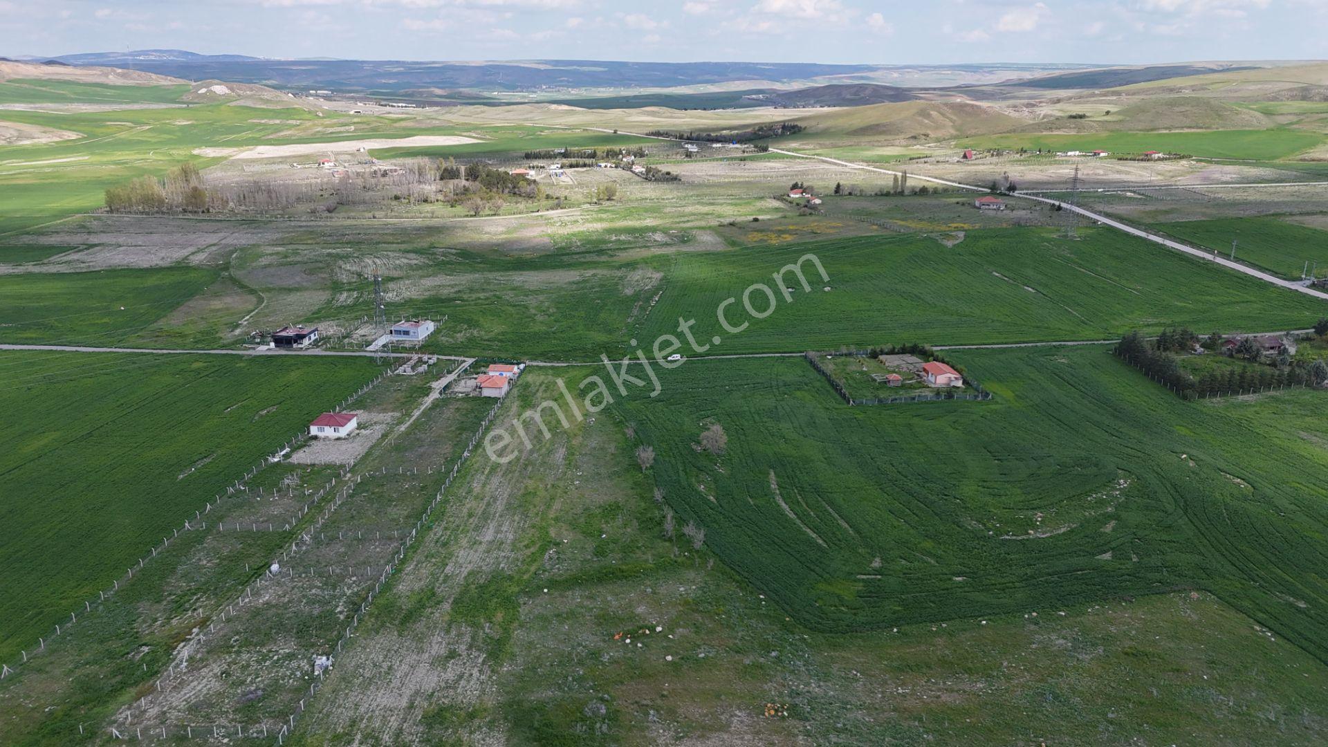 Gölbaşı Soğulcak Da 5653m2 Tek Tapu Tarla Karadeniz Emlaktan - Görsel 18