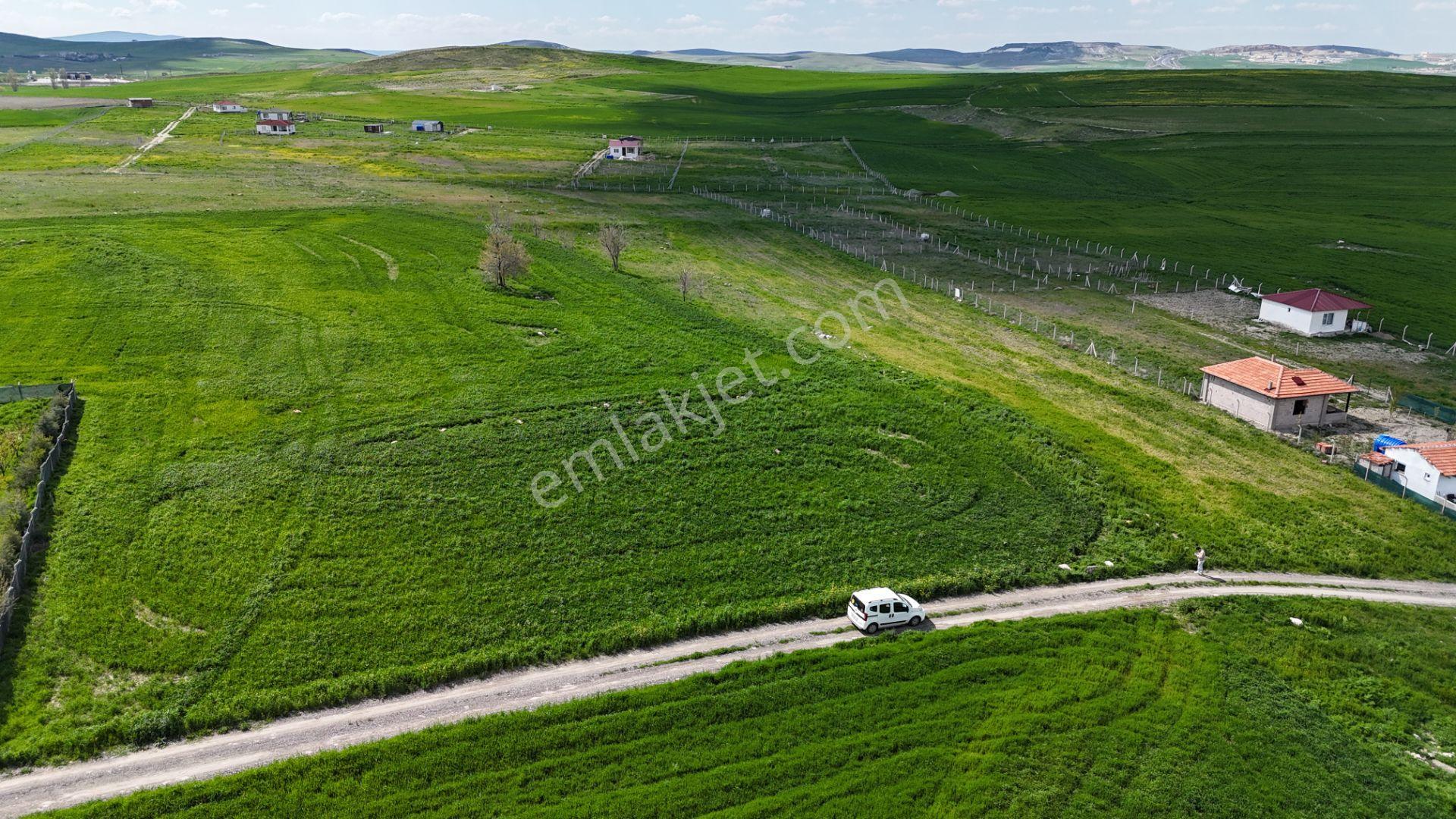 Gölbaşı Soğulcak Da 5653m2 Tek Tapu Tarla Karadeniz Emlaktan - Görsel 26