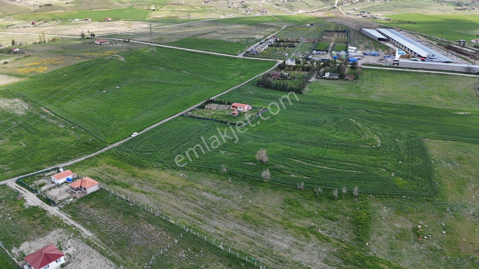 Gölbaşı Soğulcak Da 5653m2 Tek Tapu Tarla Karadeniz Emlaktan - Görsel 16