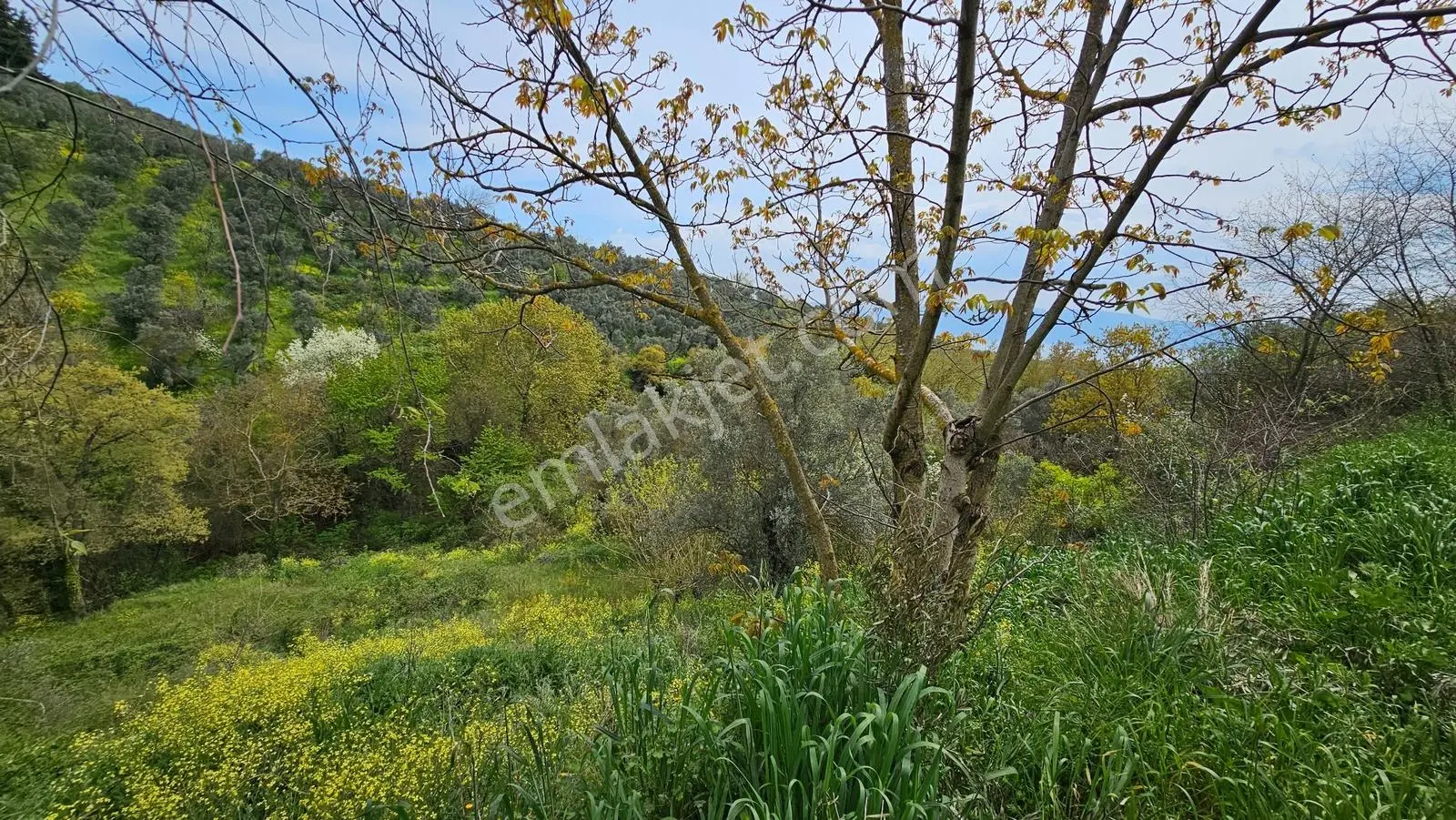 Orhangazi Çakırlı'da 308 M²/ Göl Manzaralı Dere Kenarı Bahçe - Görsel 2