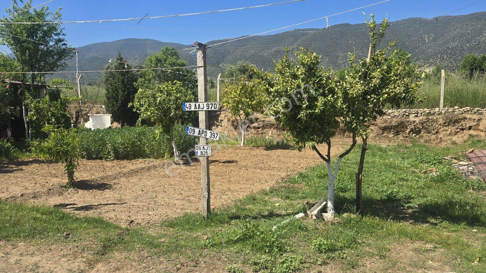 Nazilli-bozdoğan Hattında, Muhteşem Çiftlik Evi - Görsel 13
