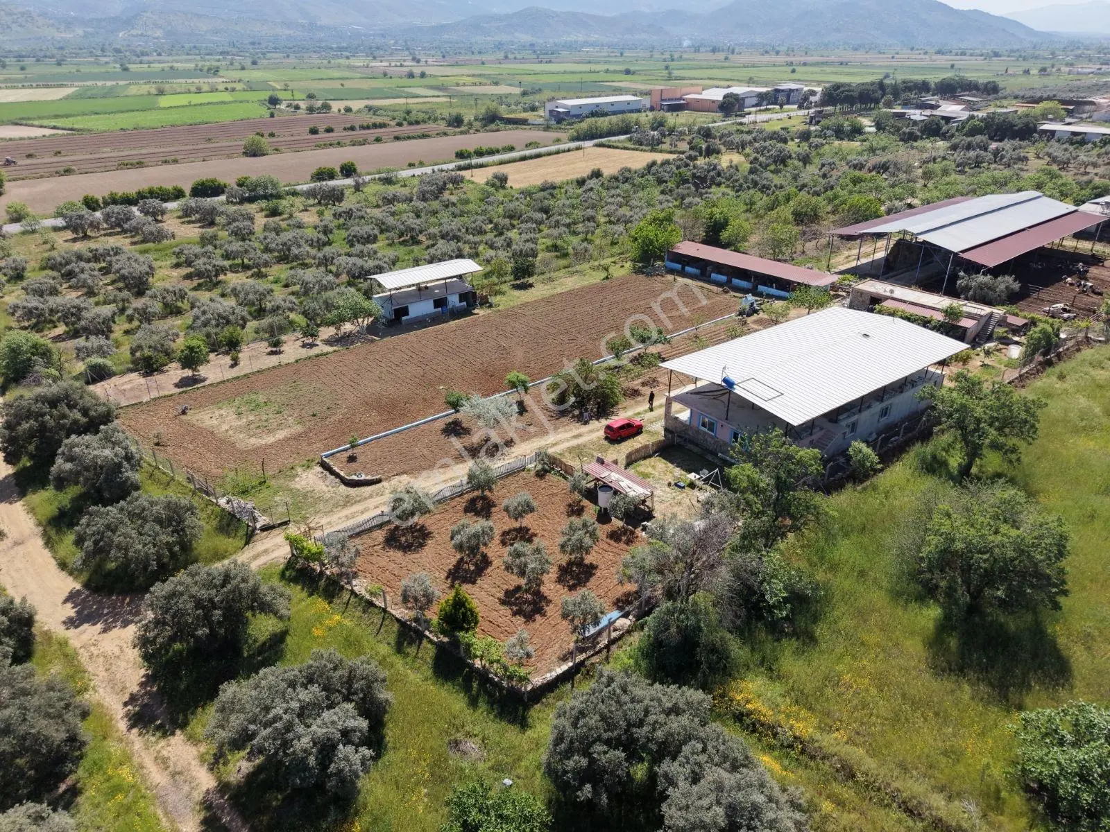 Nazilli-bozdoğan Hattında, Muhteşem Çiftlik Evi - Görsel 2