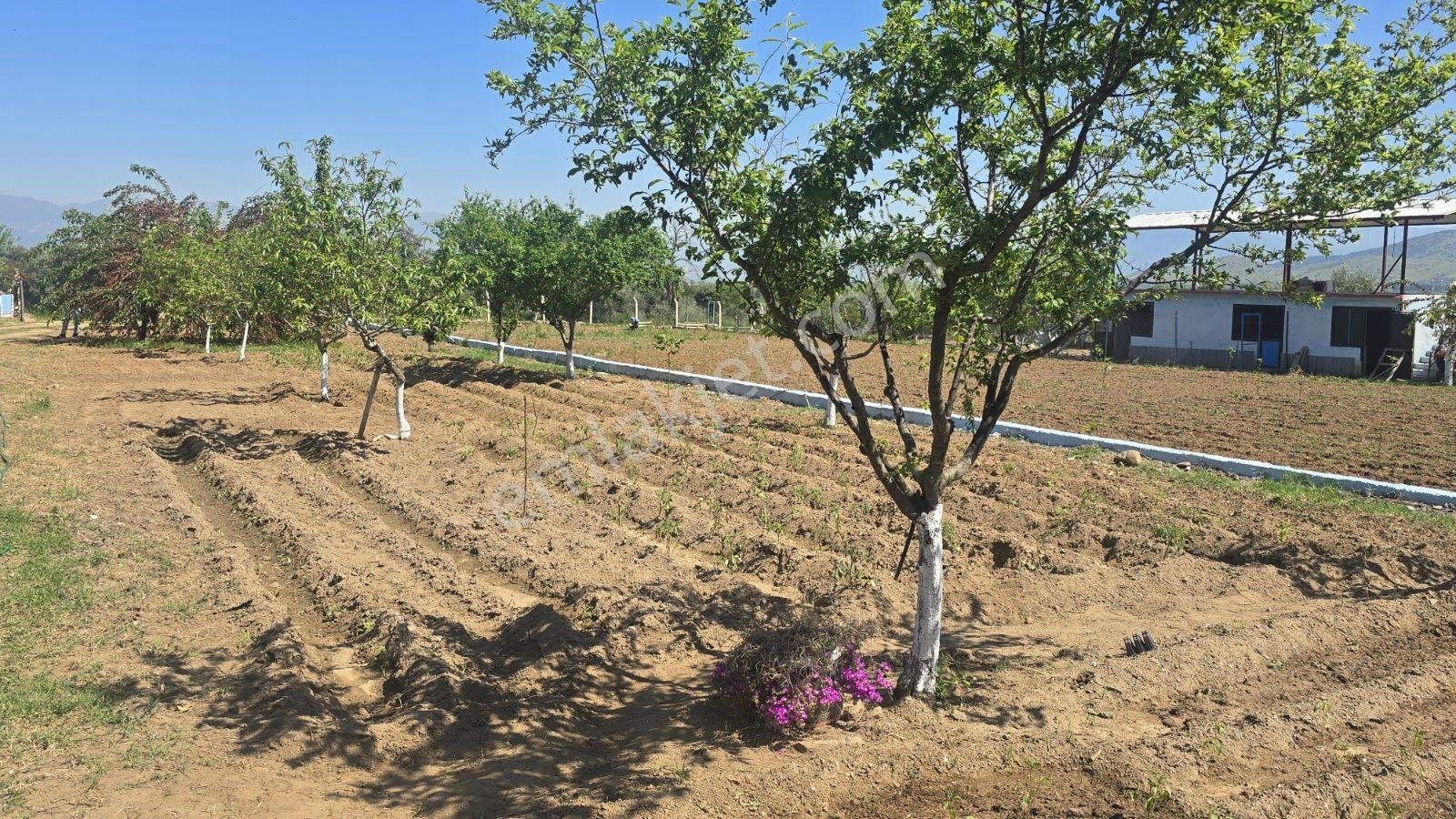 Nazilli-bozdoğan Hattında, Muhteşem Çiftlik Evi - Görsel 14