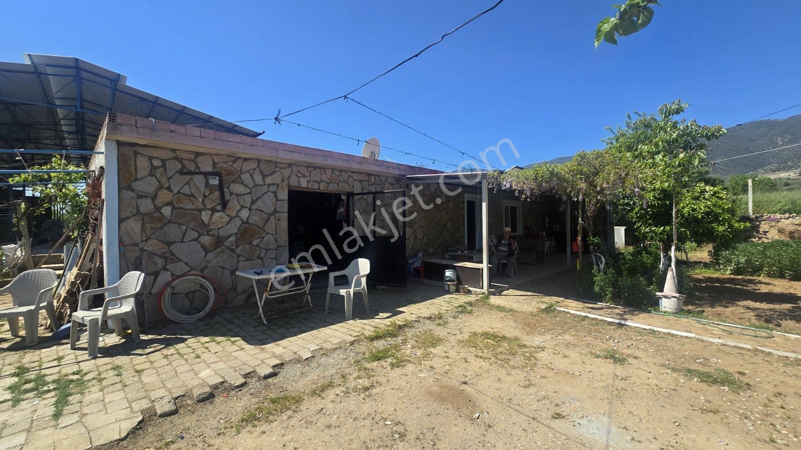 Nazilli-bozdoğan Hattında, Muhteşem Çiftlik Evi - Görsel 15