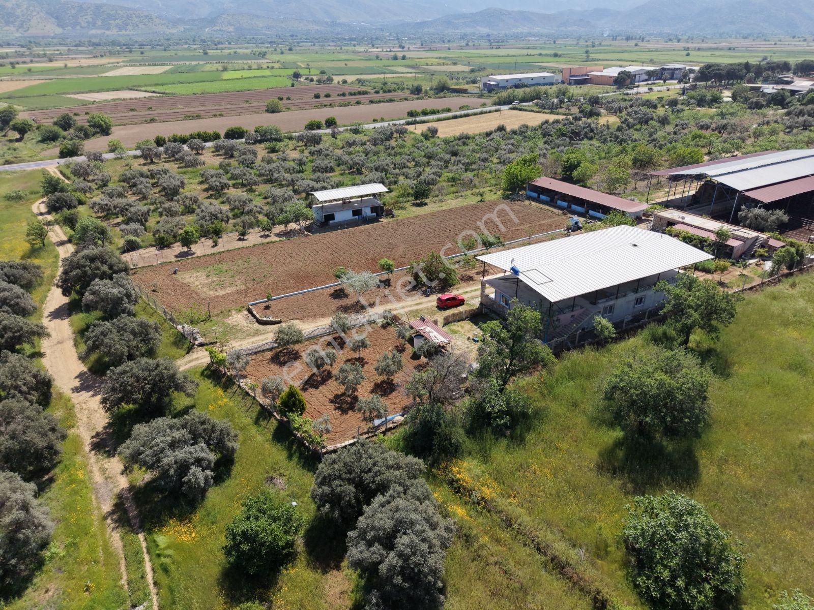 Nazilli-bozdoğan Hattında, Muhteşem Çiftlik Evi - Görsel 26