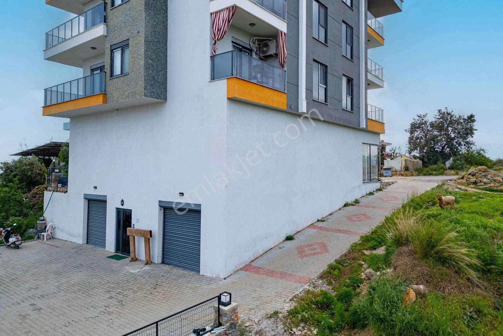 Alanya Payallar Mah. Satılık 193 M² Dükkan - Görsel 9