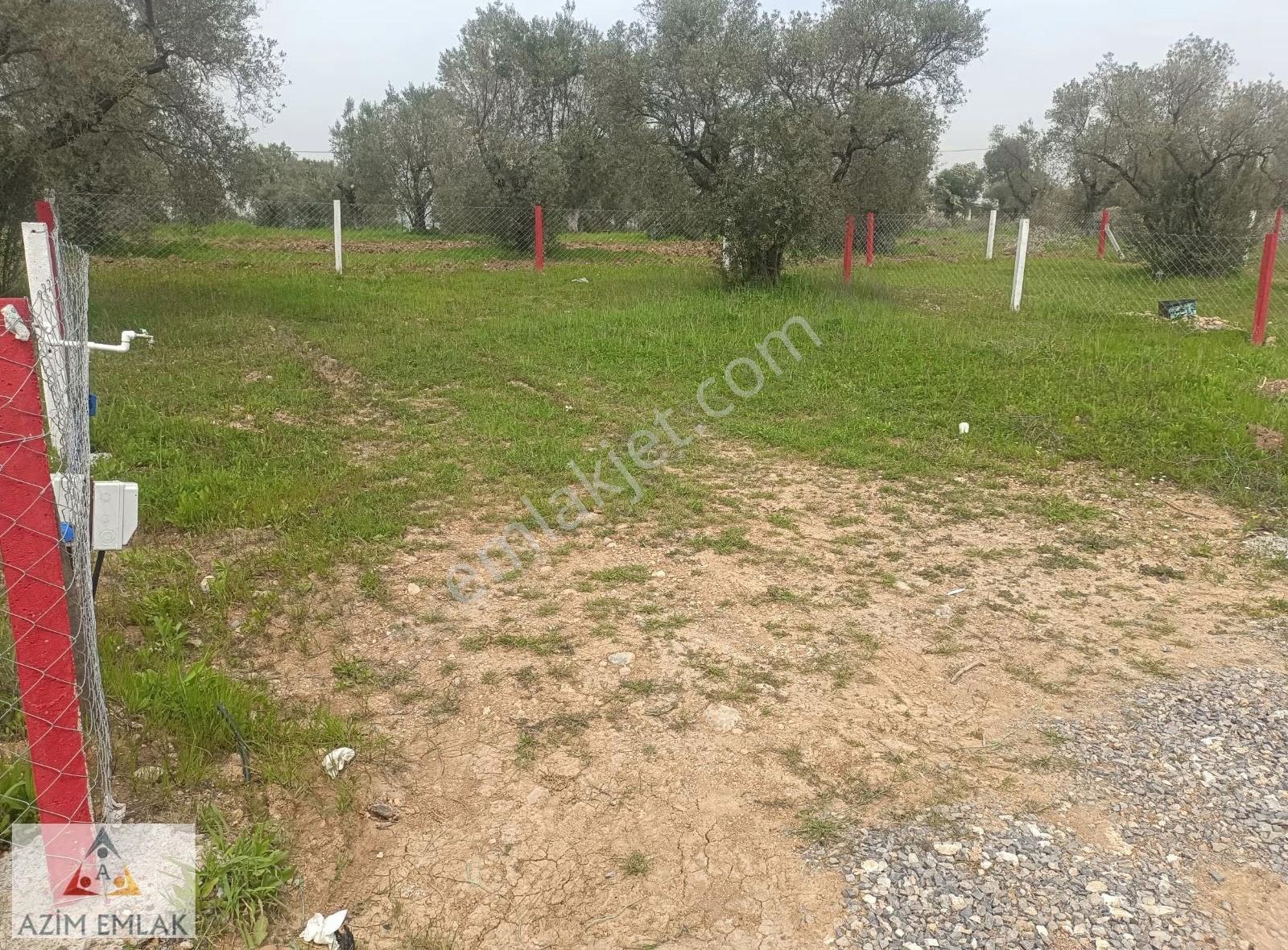 Demircide Satılık Bahçe - Görsel 5