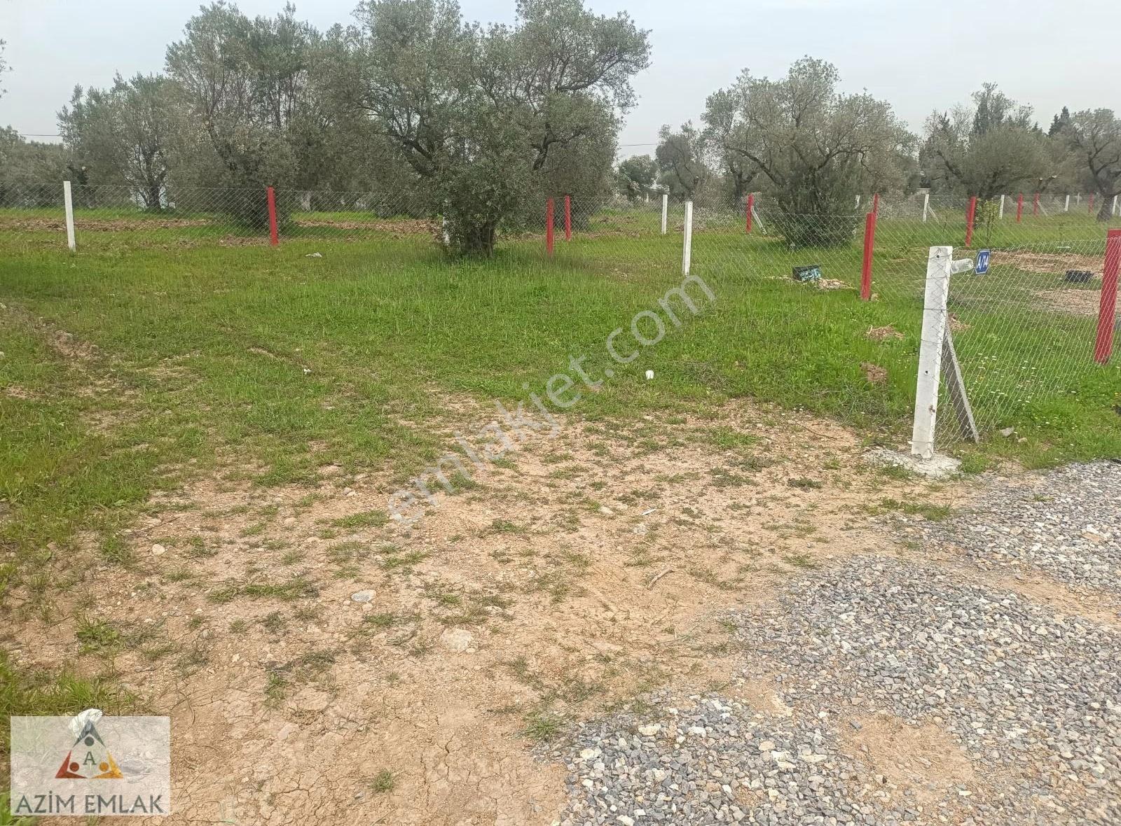 Demircide Satılık Bahçe - Görsel 4