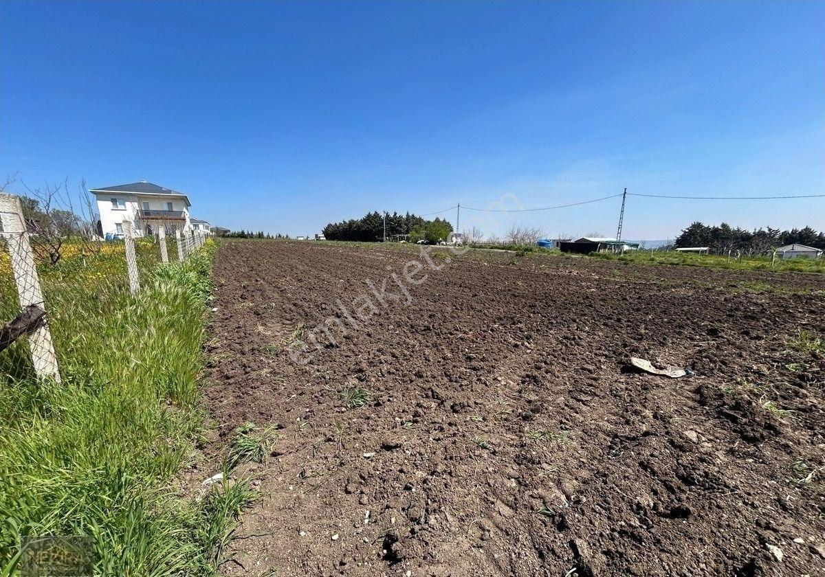 Çatalca Ovayenıce’de Tek Tapu 1400 Metre Satılık