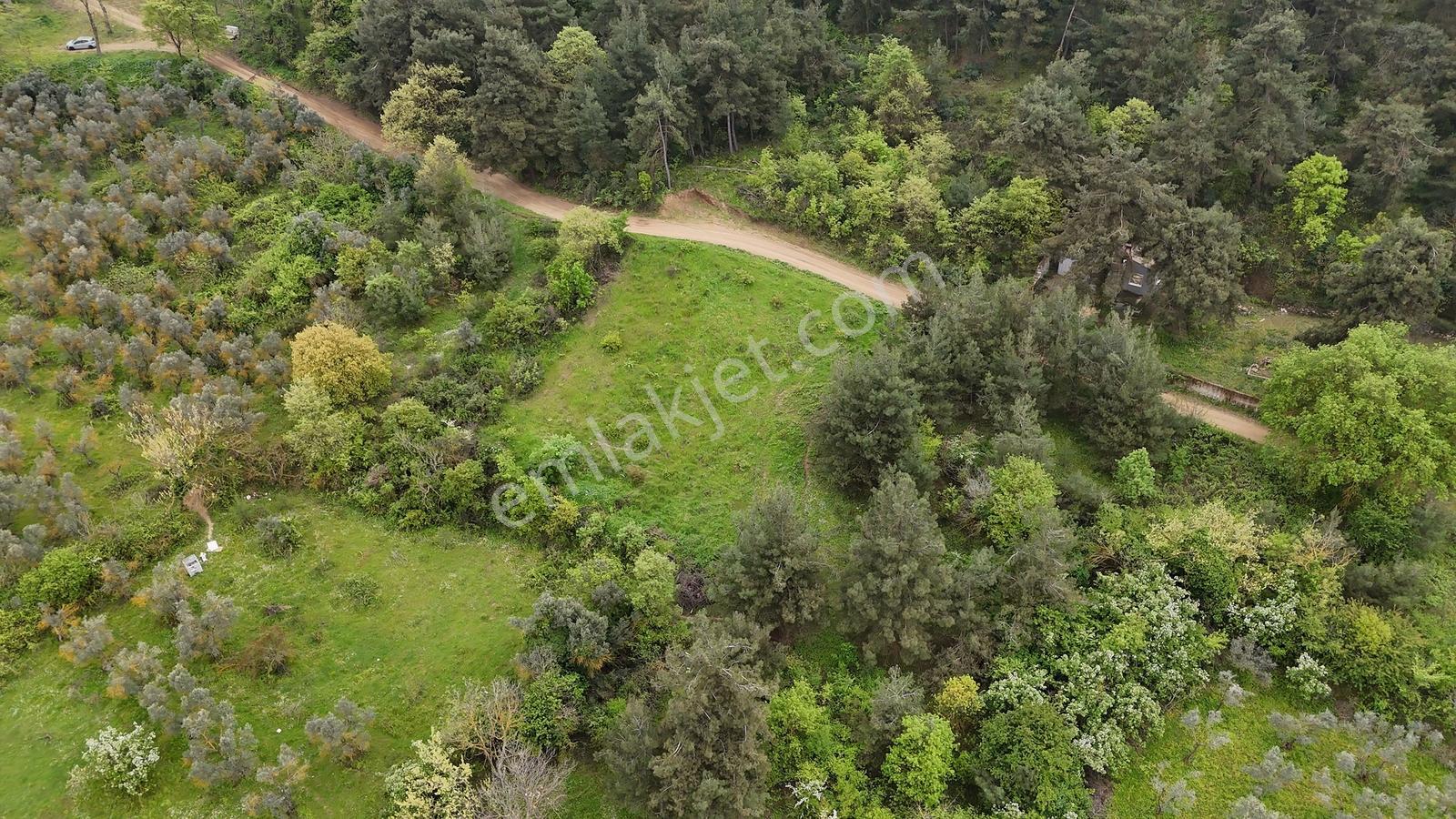 Bursa Nilüfer Yaylacıkta 528 M² 0.40 Emsalli Villa Arsası - Görsel 16