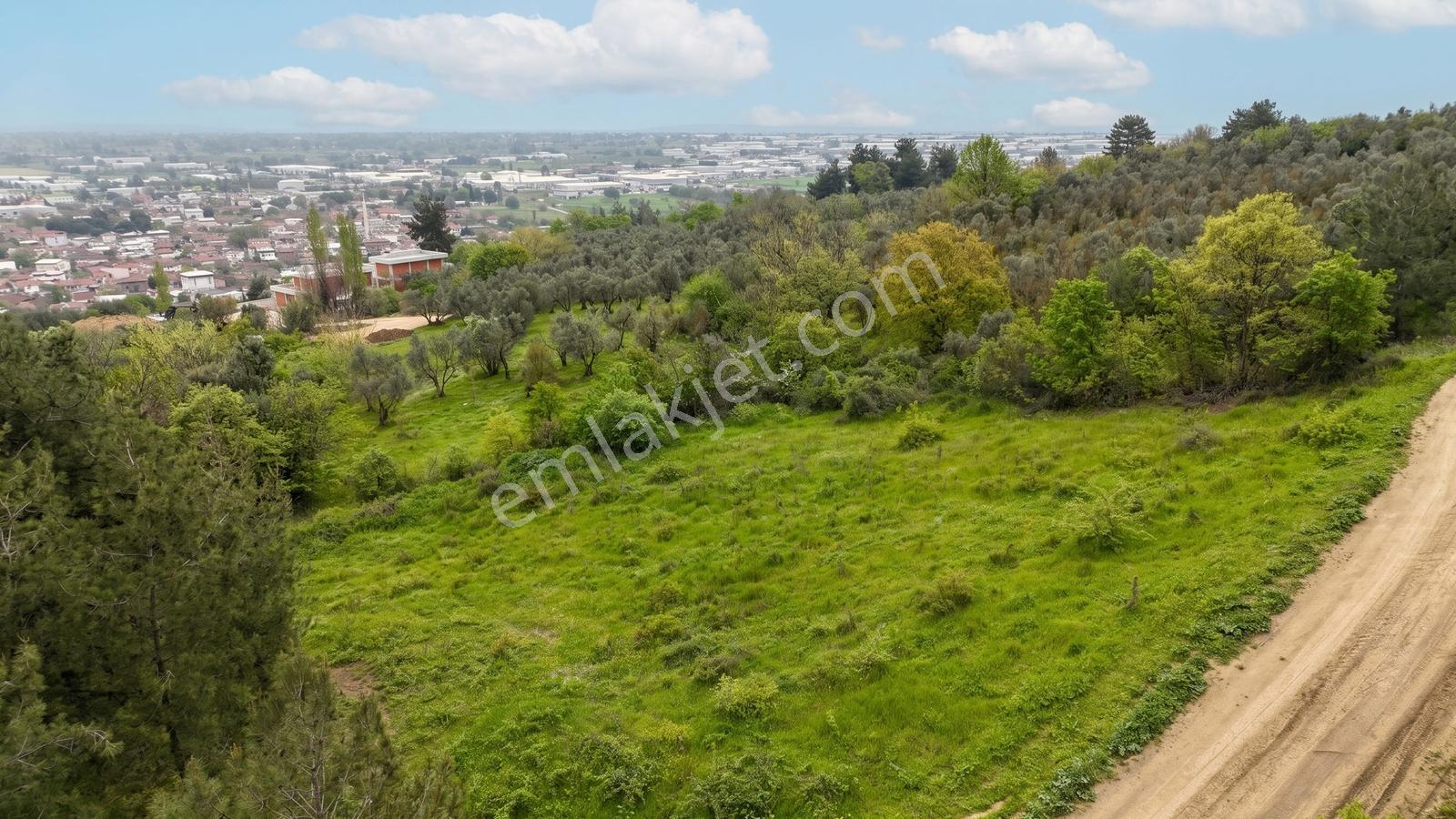 Bursa Nilüfer Yaylacıkta 528 M² 0.40 Emsalli Villa Arsası - Görsel 12