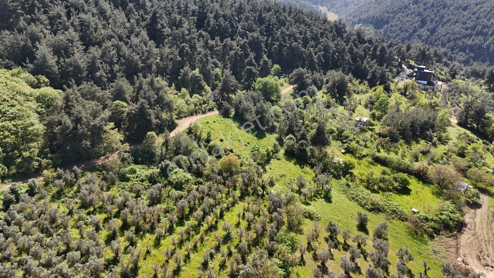 Bursa Nilüfer Yaylacıkta 528 M² 0.40 Emsalli Villa Arsası - Görsel 7