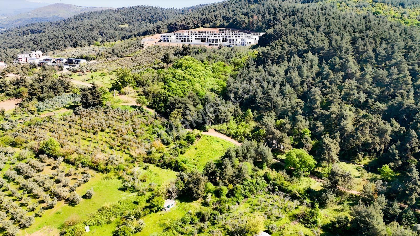 Bursa Nilüfer Yaylacıkta 528 M² 0.40 Emsalli Villa Arsası - Görsel 11