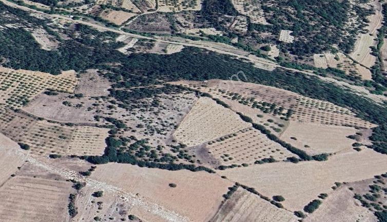 Bursa Keles'te 17.587,18 M2 Tarla - Görsel 2