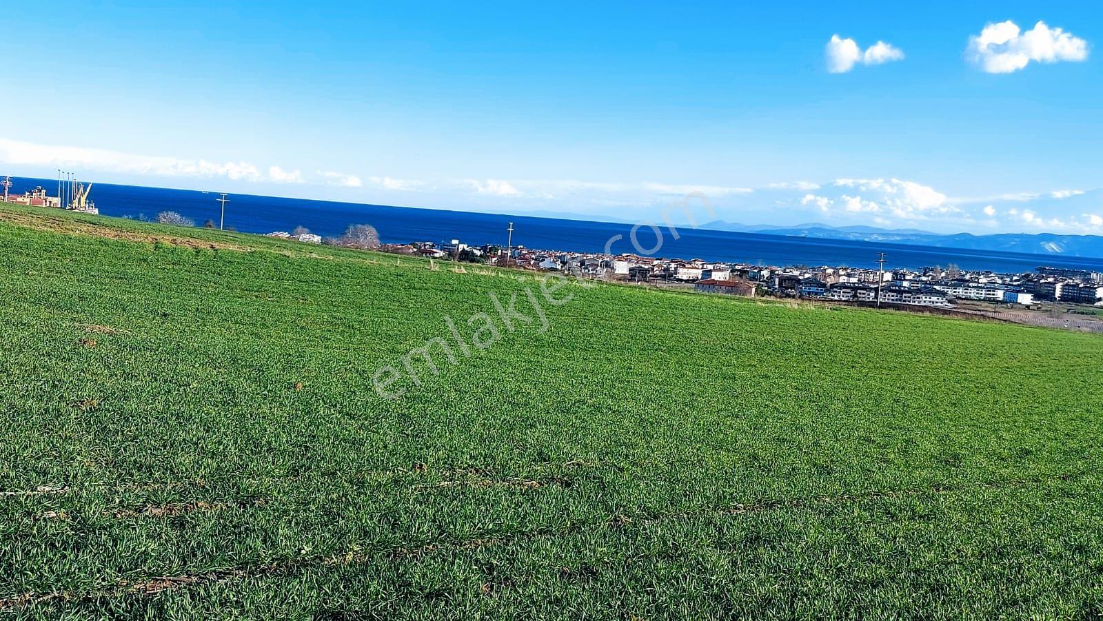 Kumbağa 1 Km Yakınlıkta Full Deniz Ve Doğa Manzaralı Yüksek Kazanç Garantisi - Görsel 14