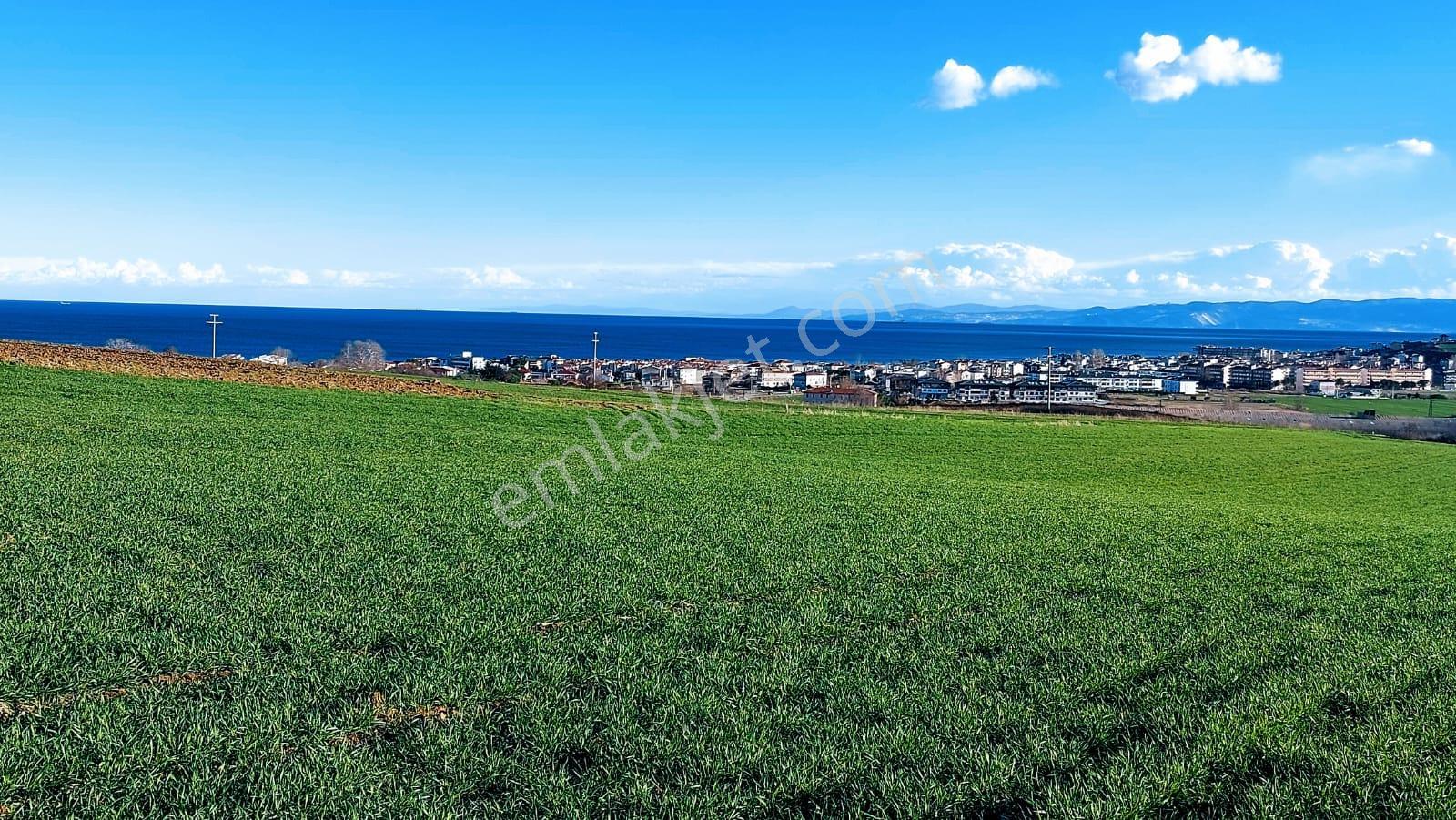 Kumbağa 1 Km Yakınlıkta Full Deniz Ve Doğa Manzaralı Yüksek Kazanç Garantisi - Görsel 18