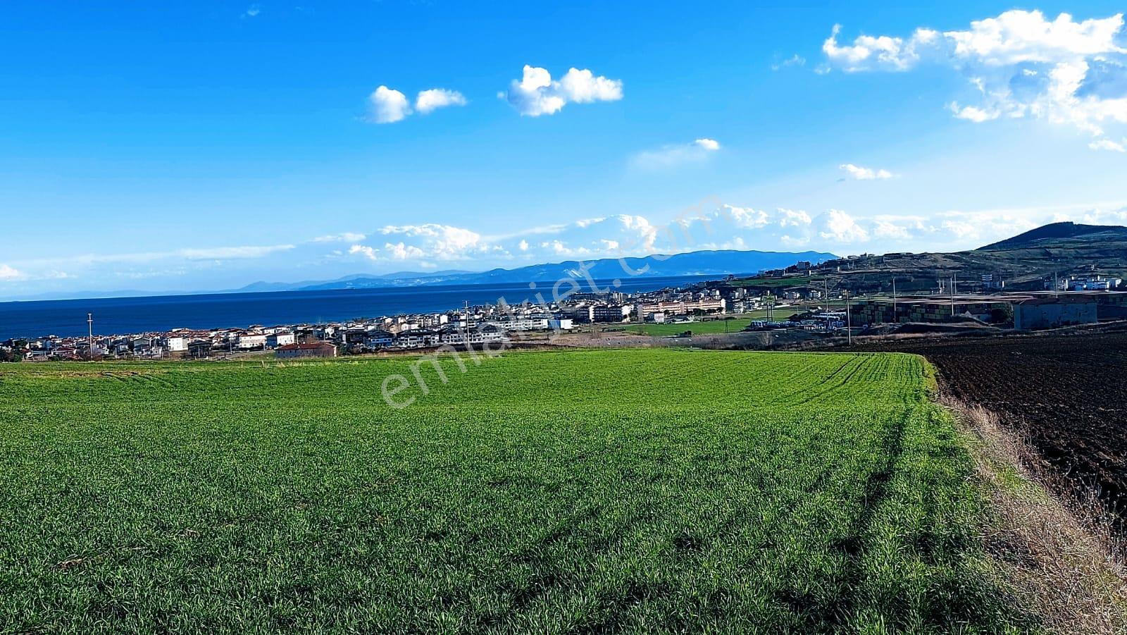 Kumbağa 1 Km Yakınlıkta Full Deniz Ve Doğa Manzaralı Yüksek Kazanç Garantisi - Görsel 5