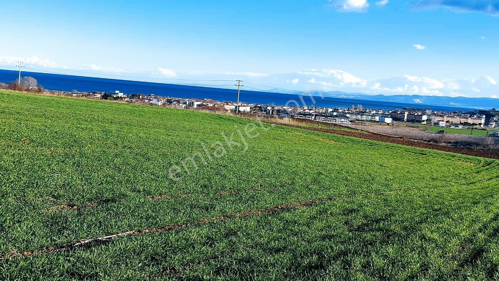 Kumbağa 1 Km Yakınlıkta Full Deniz Ve Doğa Manzaralı Yüksek Kazanç Garantisi - Görsel 24