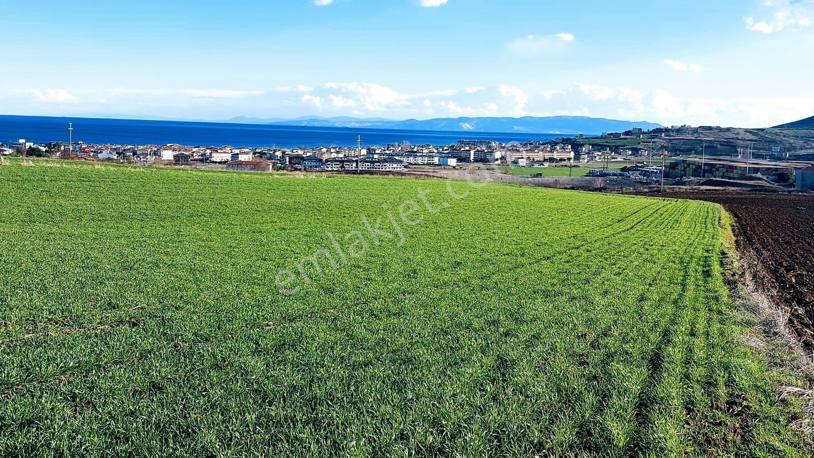 Kumbağa 1 Km Yakınlıkta Full Deniz Ve Doğa Manzaralı Yüksek Kazanç Garantisi - Görsel 16