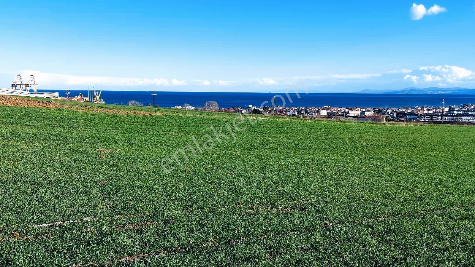 Kumbağa 1 Km Yakınlıkta Full Deniz Ve Doğa Manzaralı Yüksek Kazanç Garantisi - Görsel 8