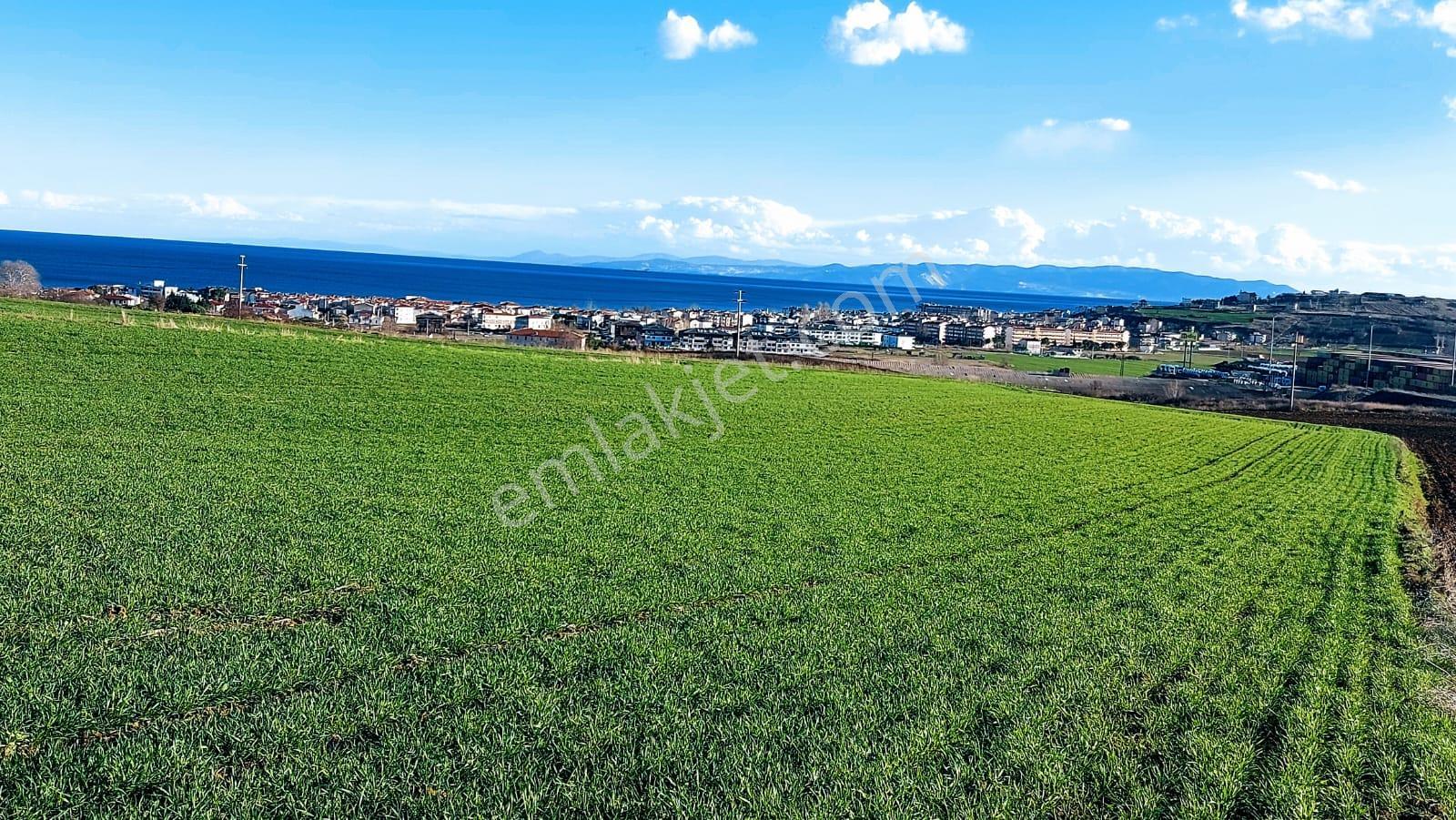 Kumbağa 1 Km Yakınlıkta Full Deniz Ve Doğa Manzaralı Yüksek Kazanç Garantisi - Görsel 11