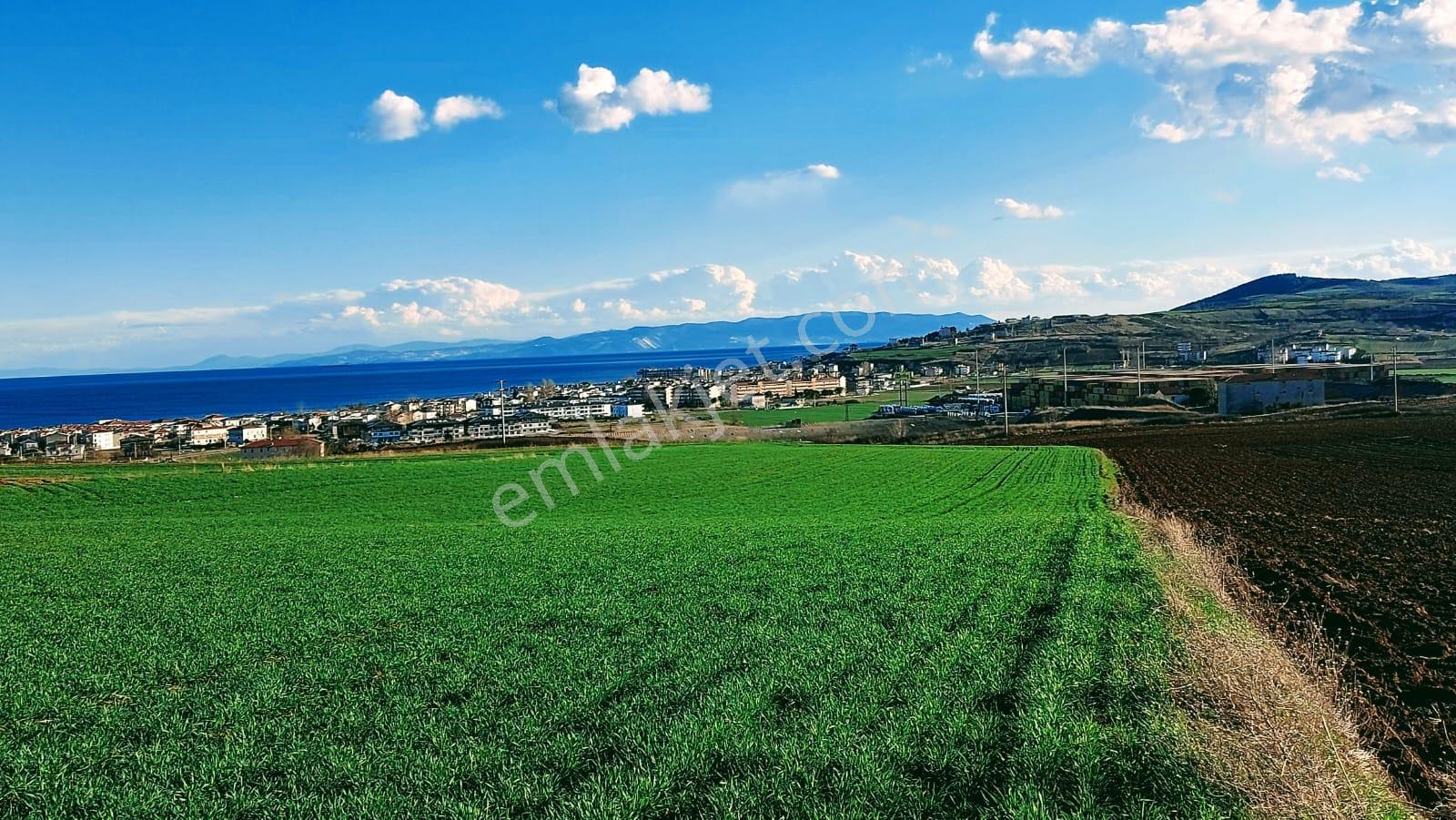 Kumbağa 1 Km Yakınlıkta Full Deniz Ve Doğa Manzaralı Yüksek Kazanç Garantisi - Görsel 19