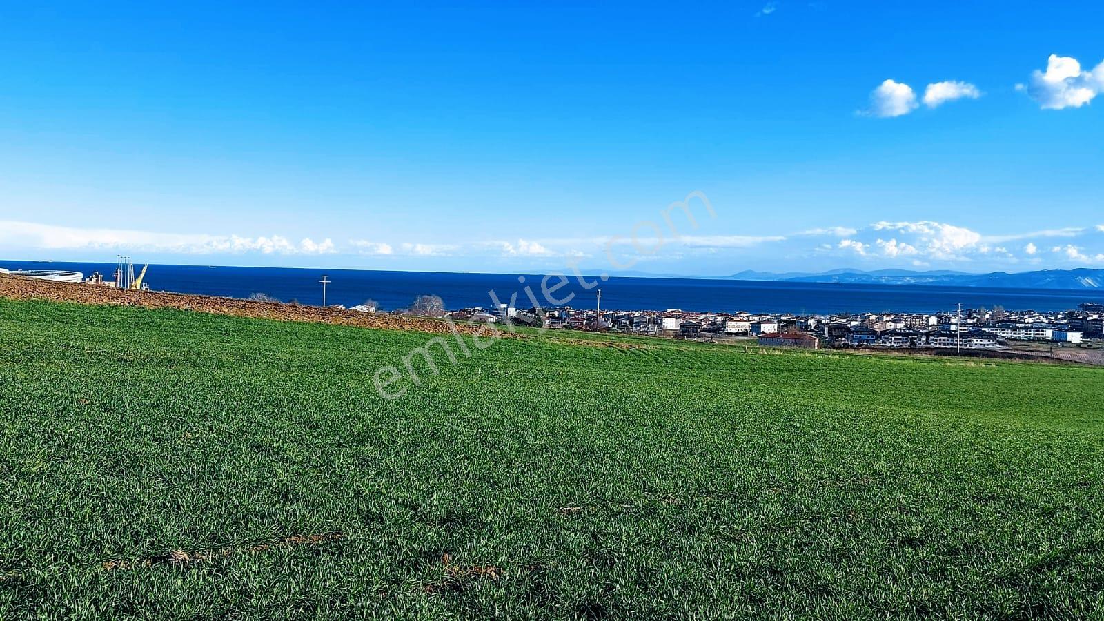 Kumbağa 1 Km Yakınlıkta Full Deniz Ve Doğa Manzaralı Yüksek Kazanç Garantisi - Görsel 21