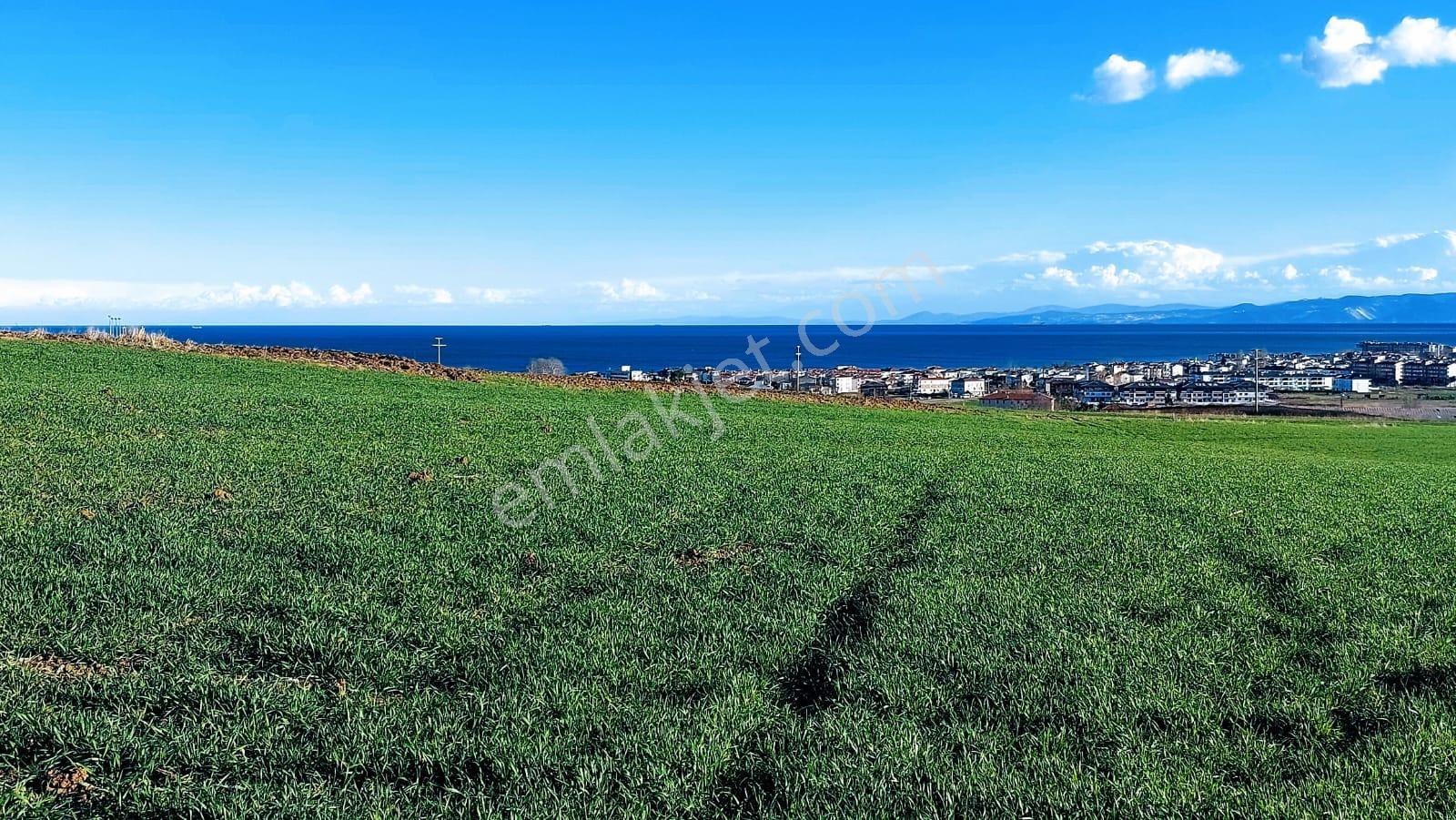 Kumbağa 1 Km Yakınlıkta Full Deniz Ve Doğa Manzaralı Yüksek Kazanç Garantisi - Görsel 22