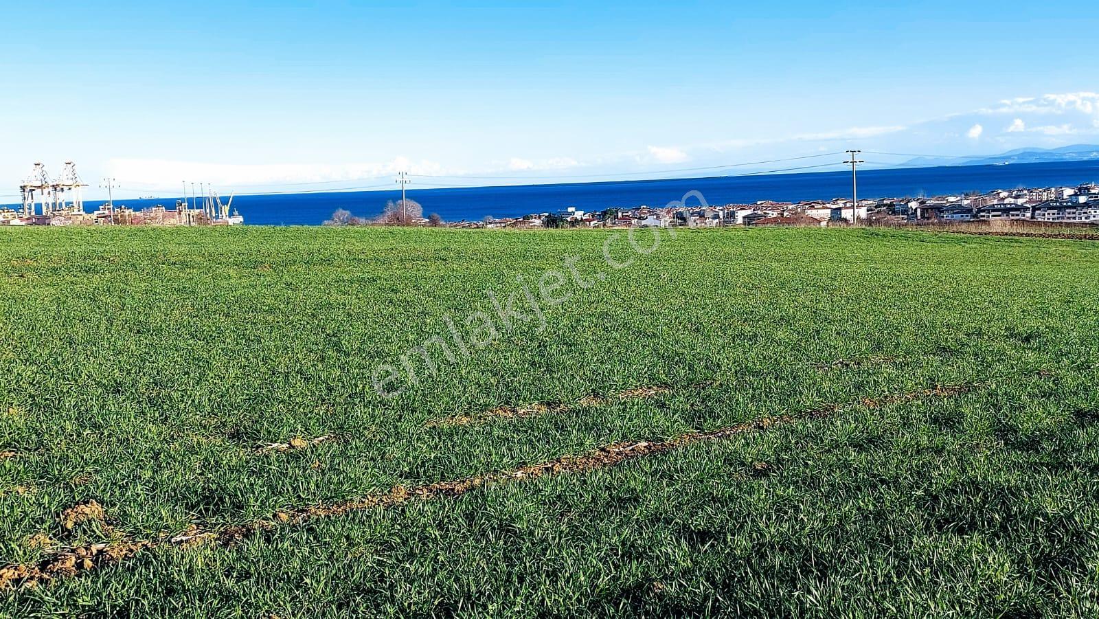 Kumbağa 1 Km Yakınlıkta Full Deniz Ve Doğa Manzaralı Yüksek Kazanç Garantisi - Görsel 6