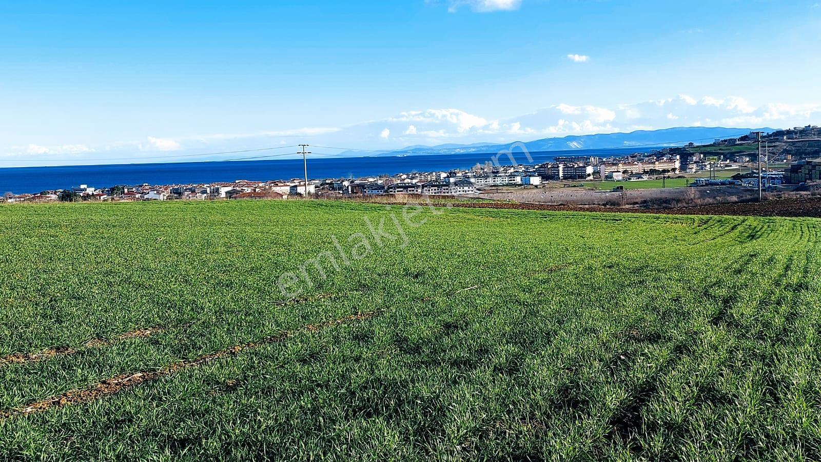 Kumbağa 1 Km Yakınlıkta Full Deniz Ve Doğa Manzaralı Yüksek Kazanç Garantisi - Görsel 7